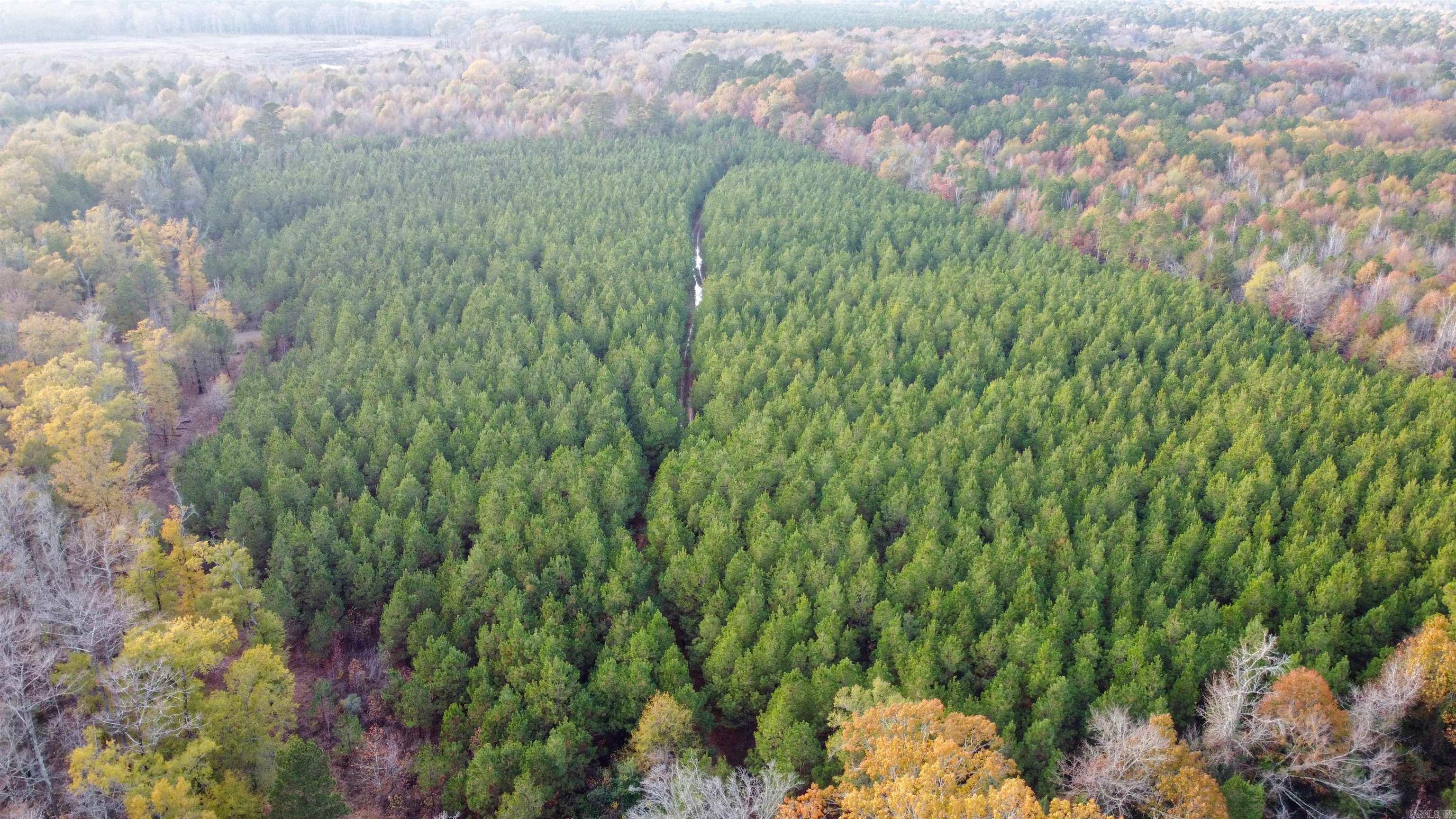 80 acres  Calhoun 199  Hampton, AR