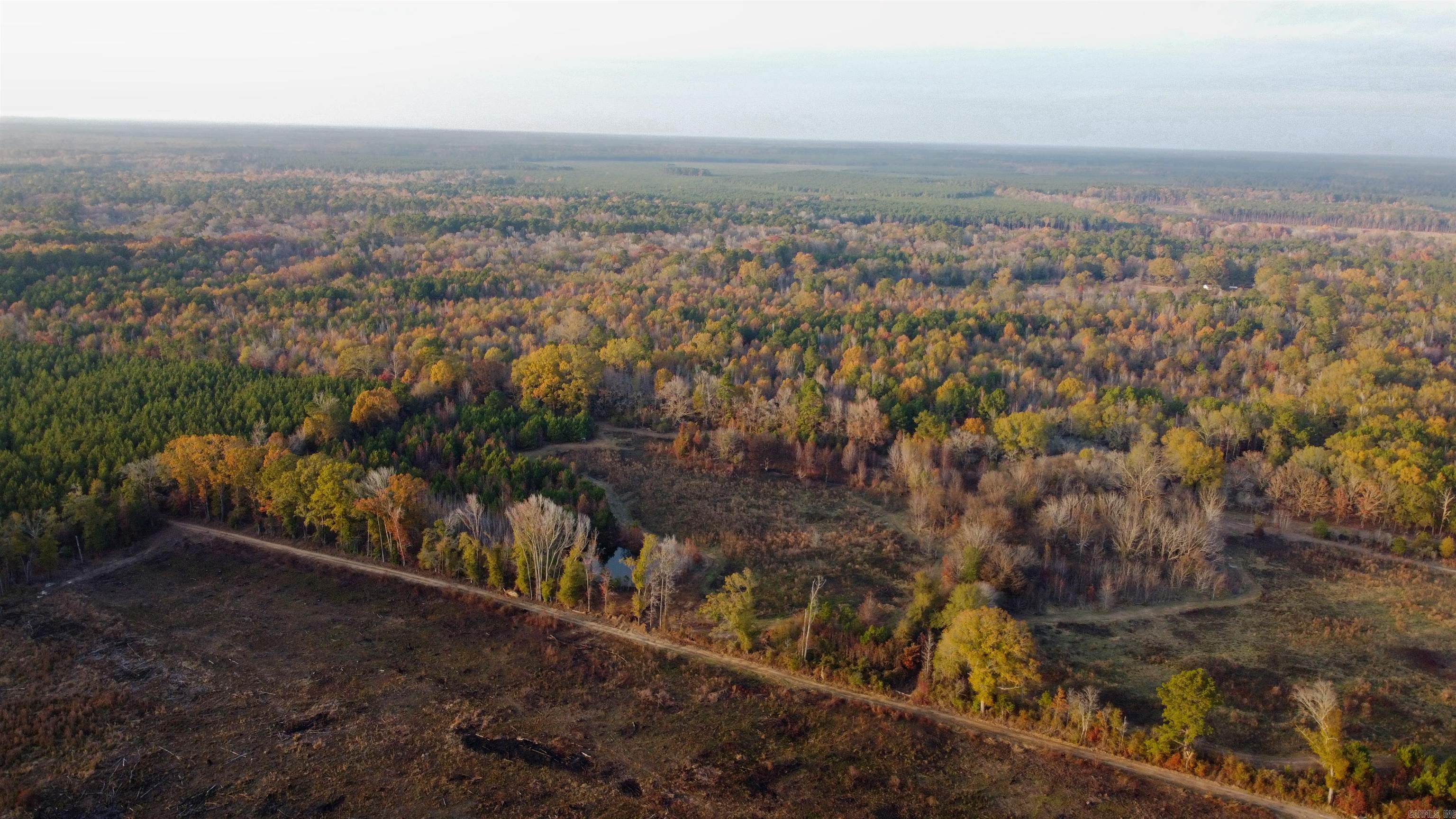 80 acres  Calhoun 199  Hampton, AR