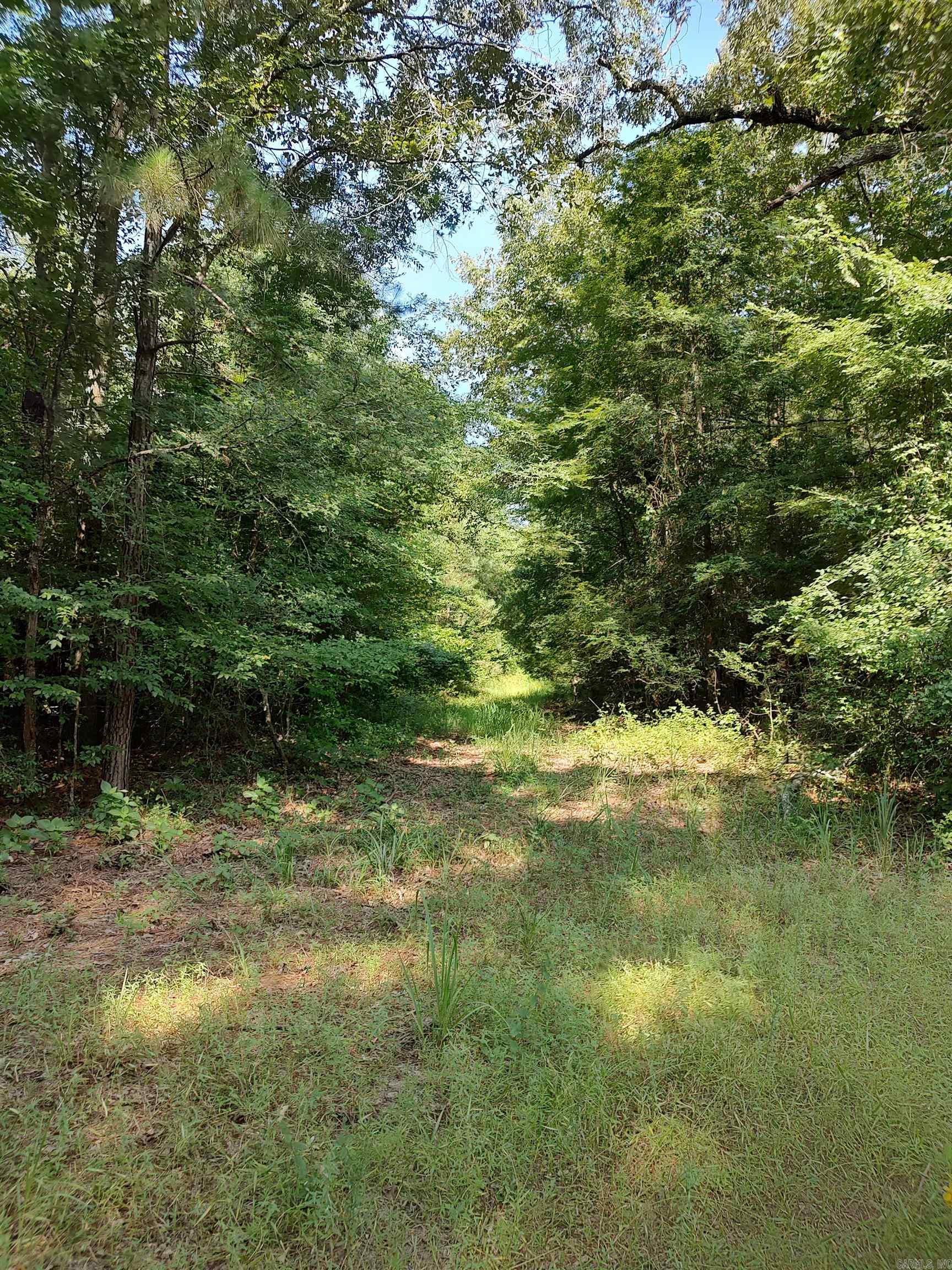 80 acres  Calhoun 199  Hampton, AR