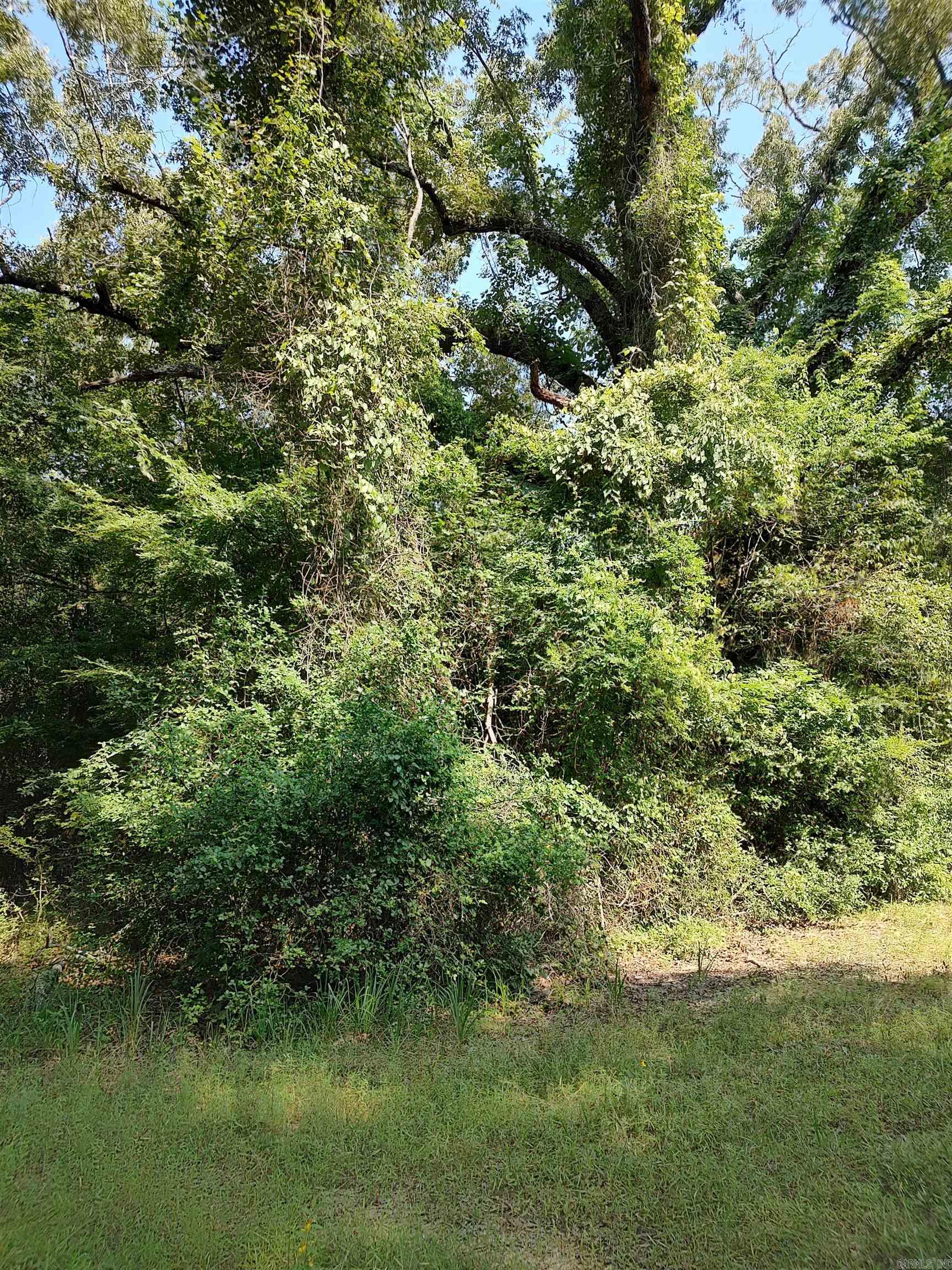 80 acres  Calhoun 199  Hampton, AR