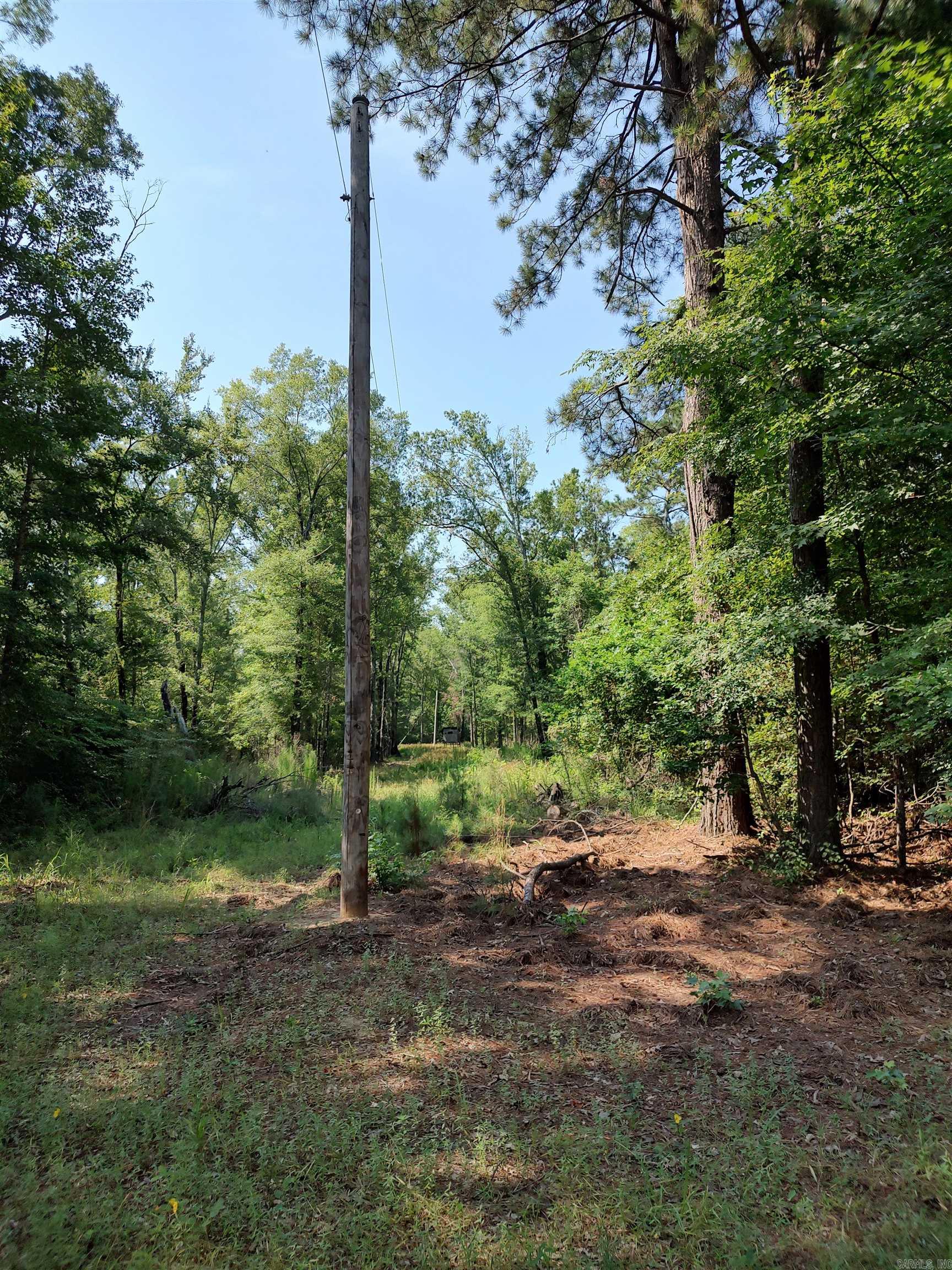 80 acres  Calhoun 199  Hampton, AR