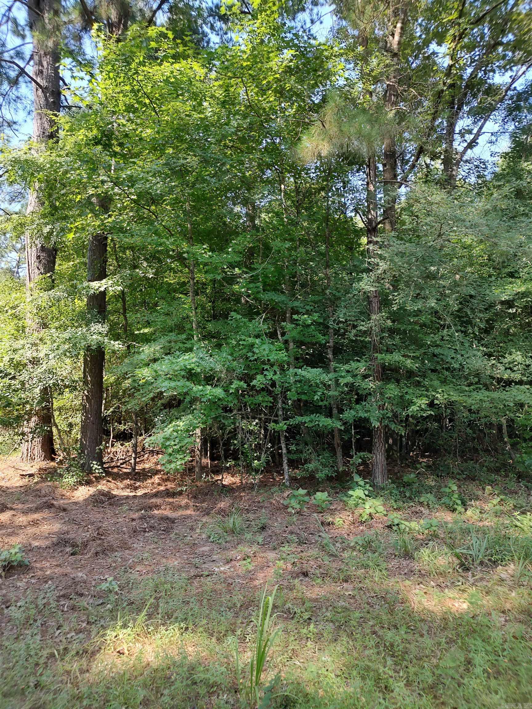 80 acres  Calhoun 199  Hampton, AR