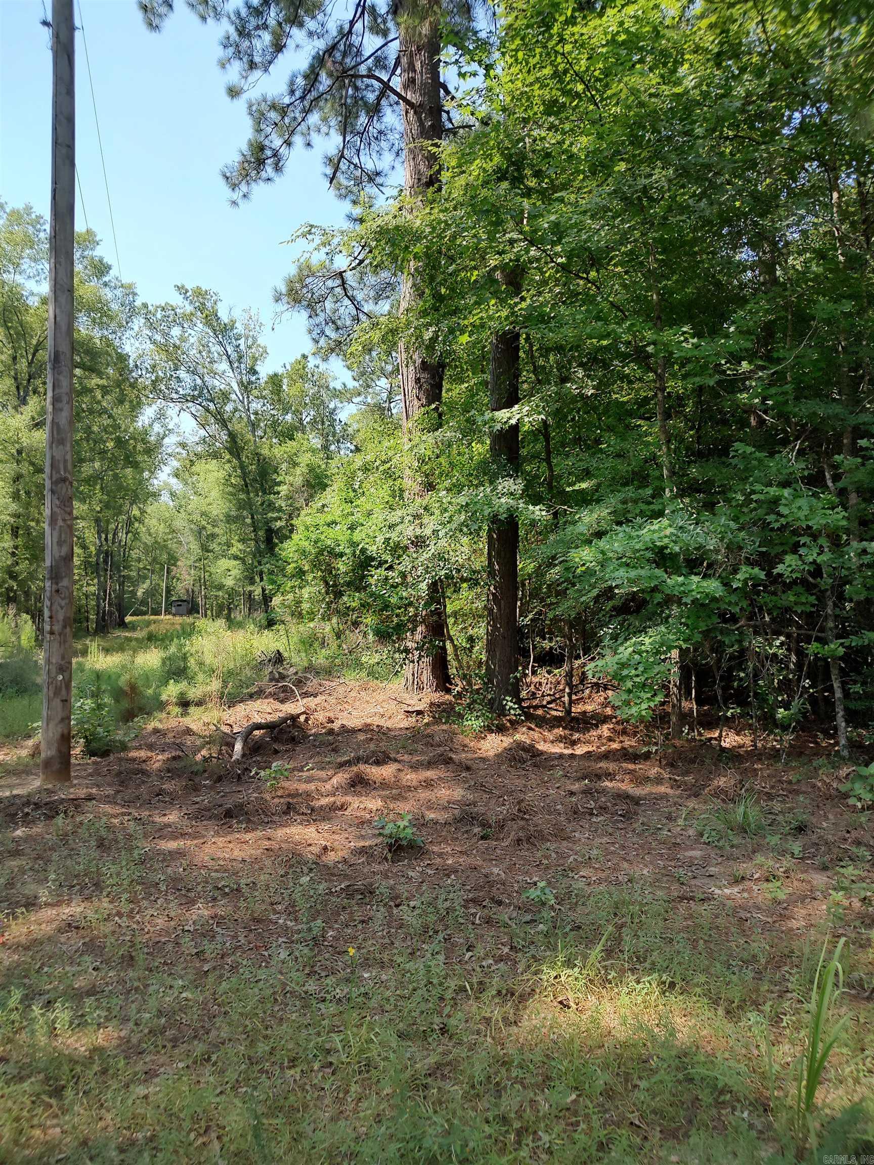80 acres  Calhoun 199  Hampton, AR