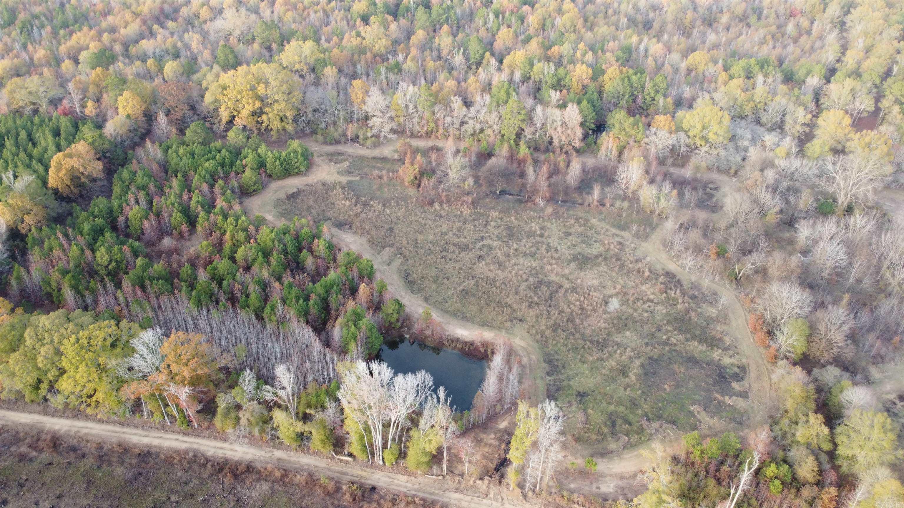 80 acres  Calhoun 199  Hampton, AR