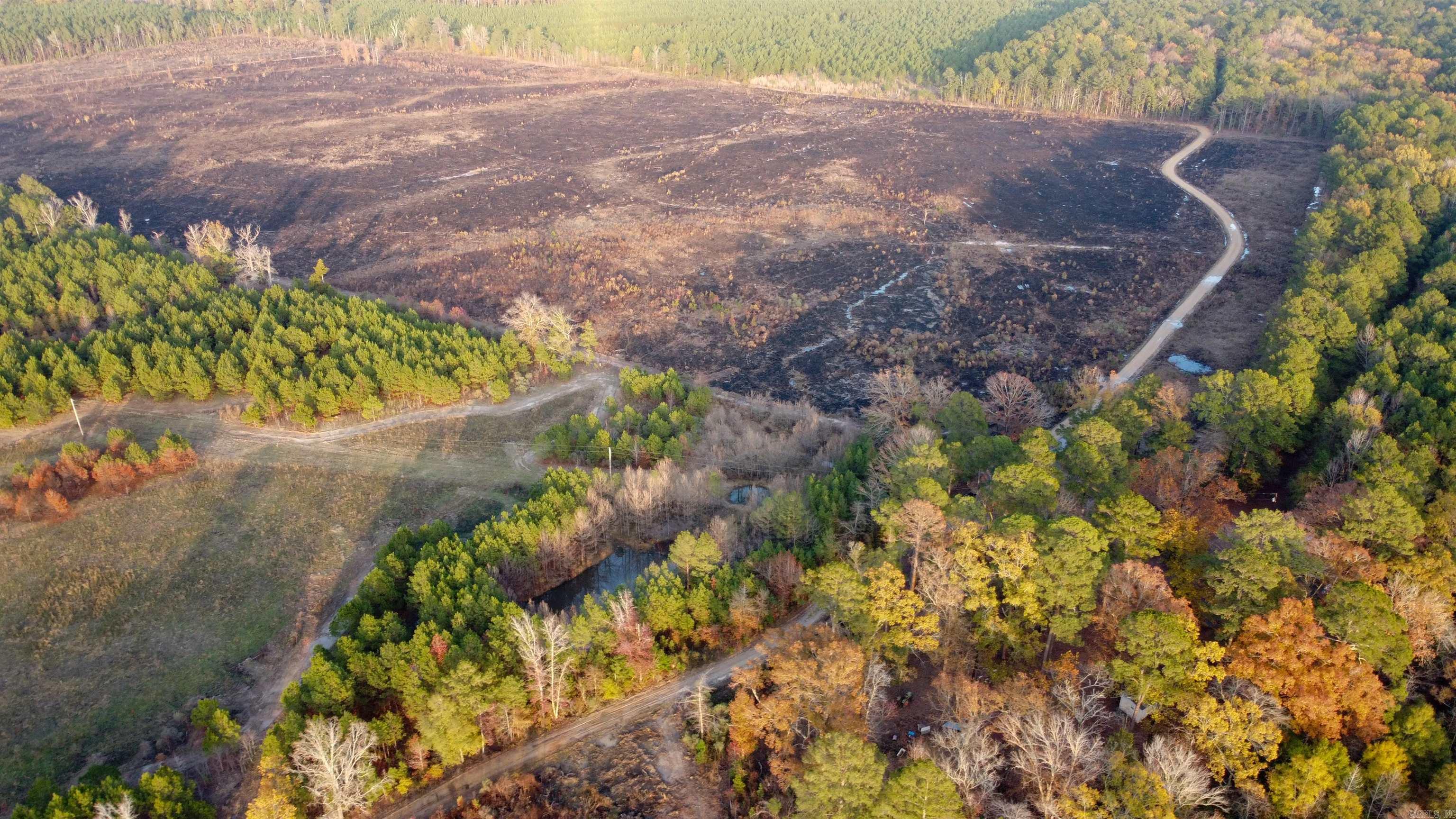 80 acres  Calhoun 199  Hampton, AR
