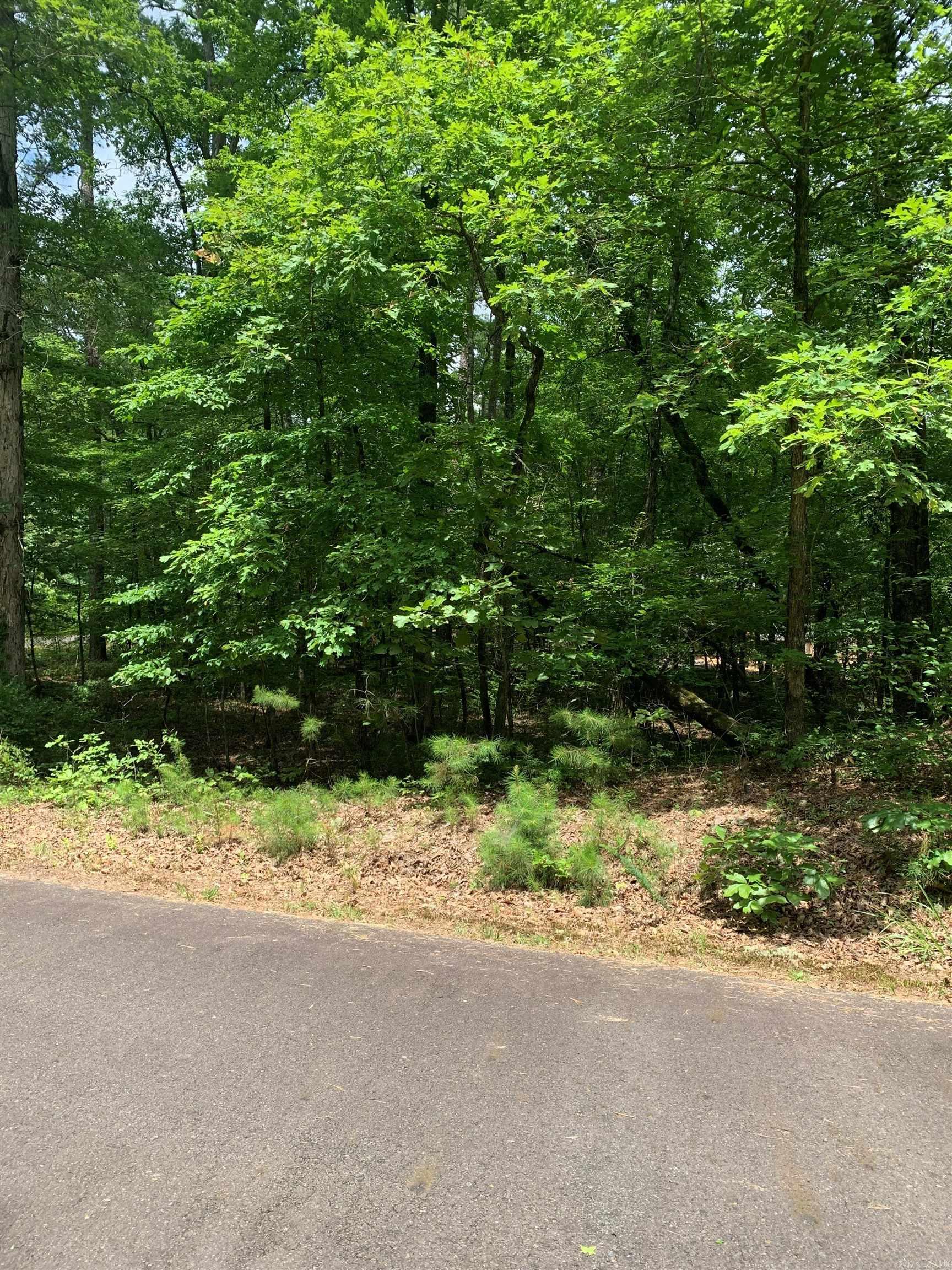 23  Jabali  Hot Springs Village, AR