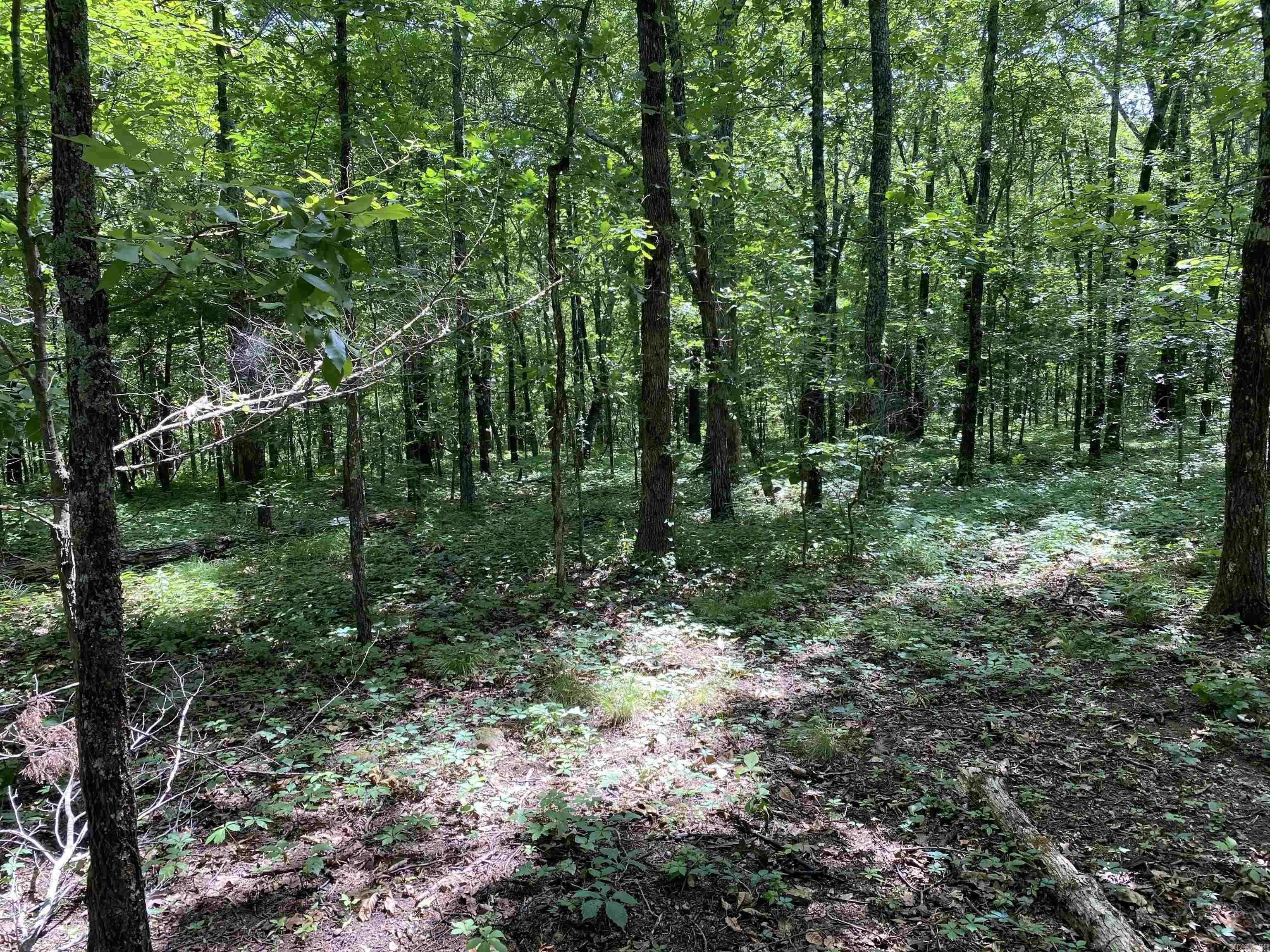 Lot 3  Bluff  Edgemont, AR
