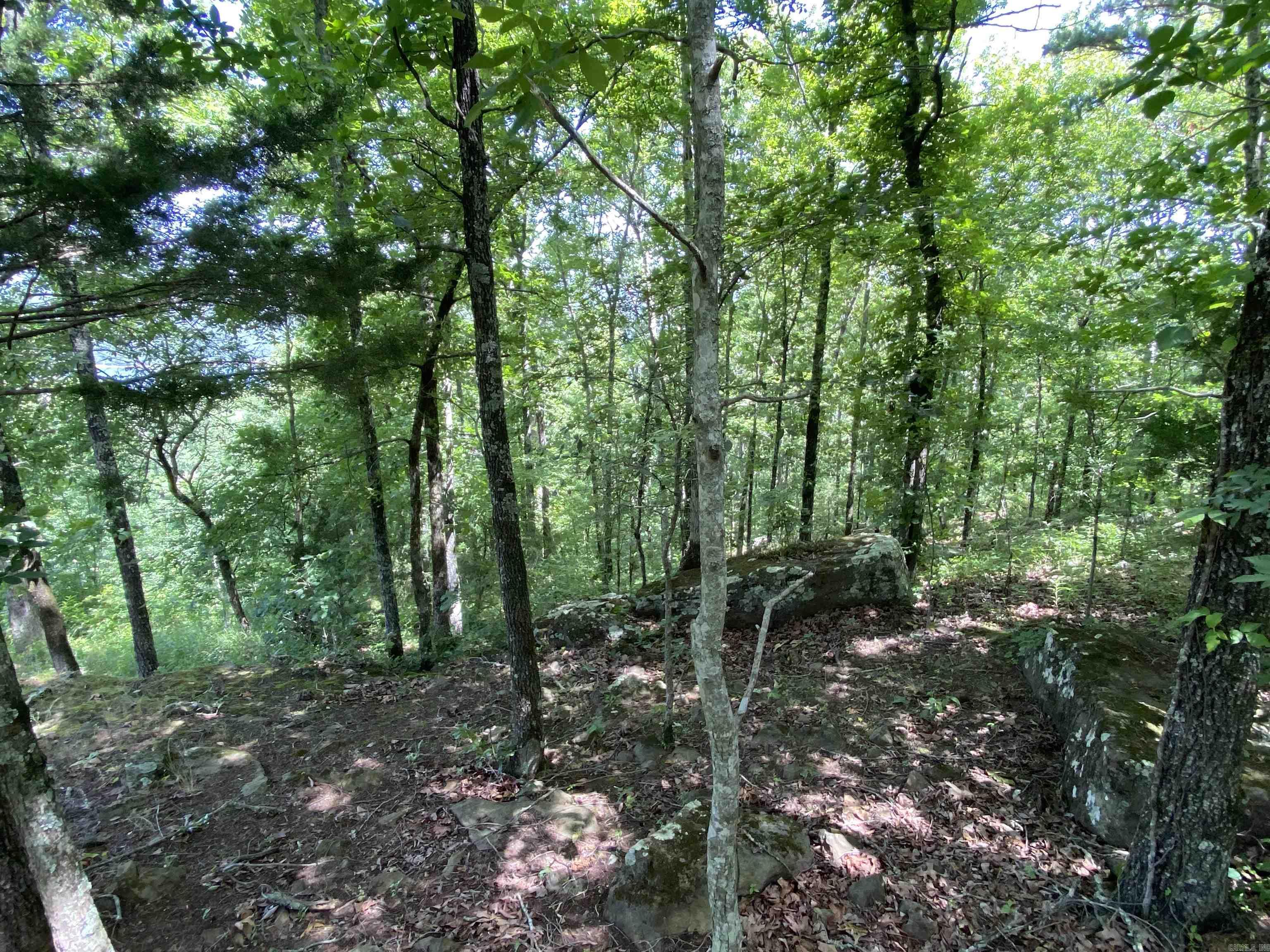 Lot 16  Bluff  Edgemont, AR