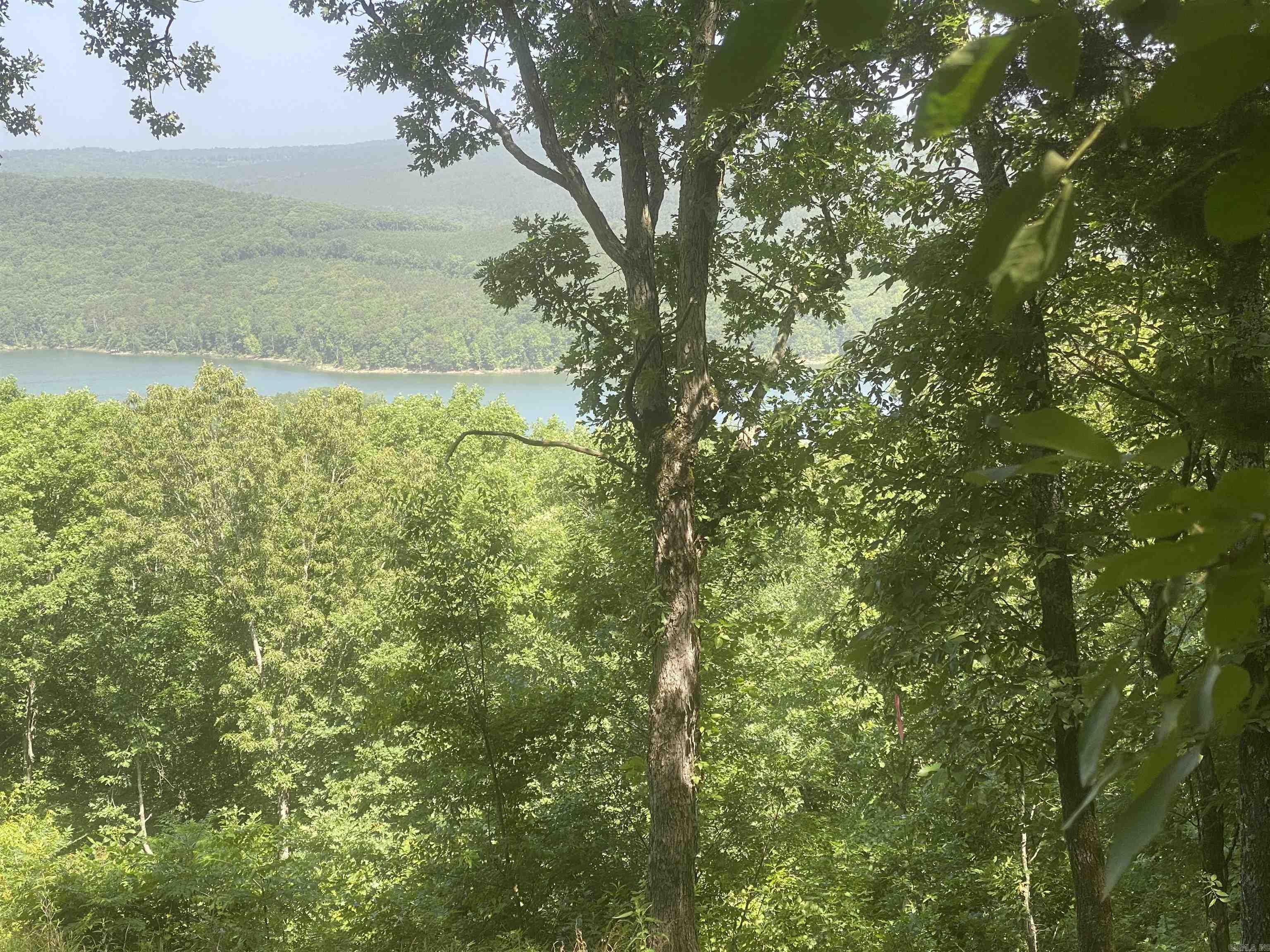 Lot 22  Bluff  Edgemont, AR