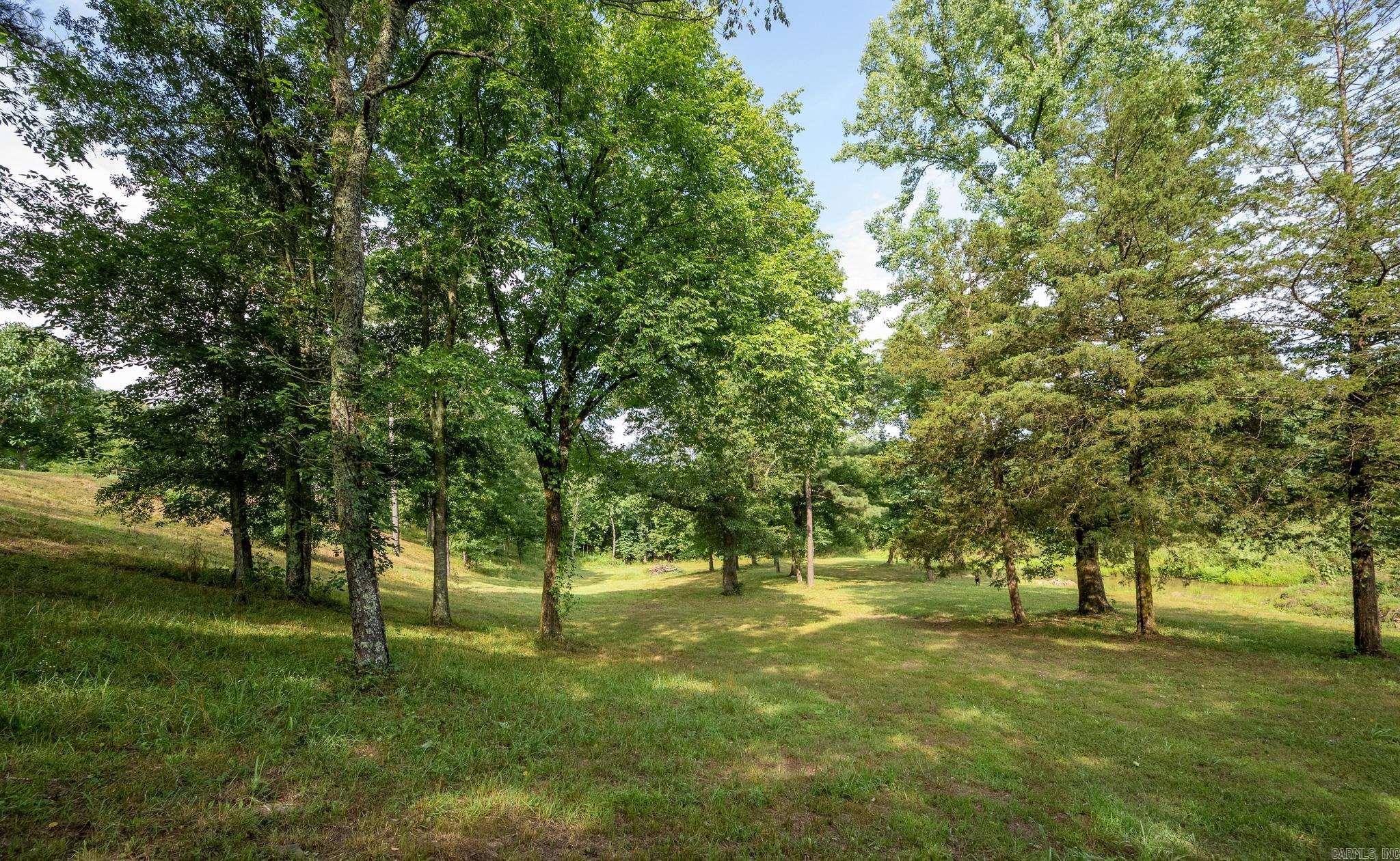 421  Polk Road 151  Hatfield, AR