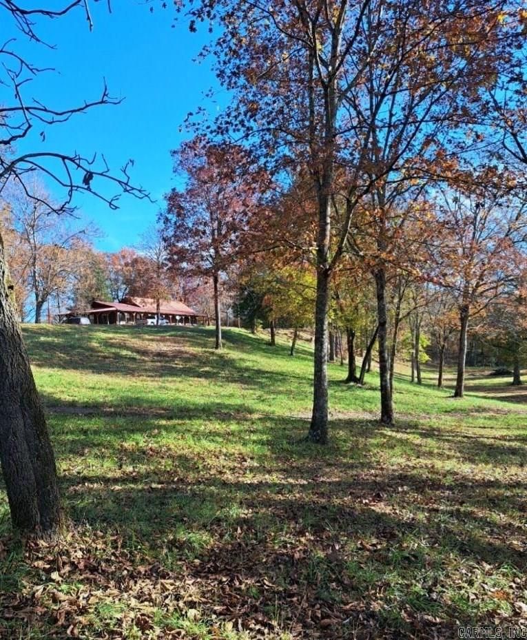 421  Polk Road 151  Hatfield, AR