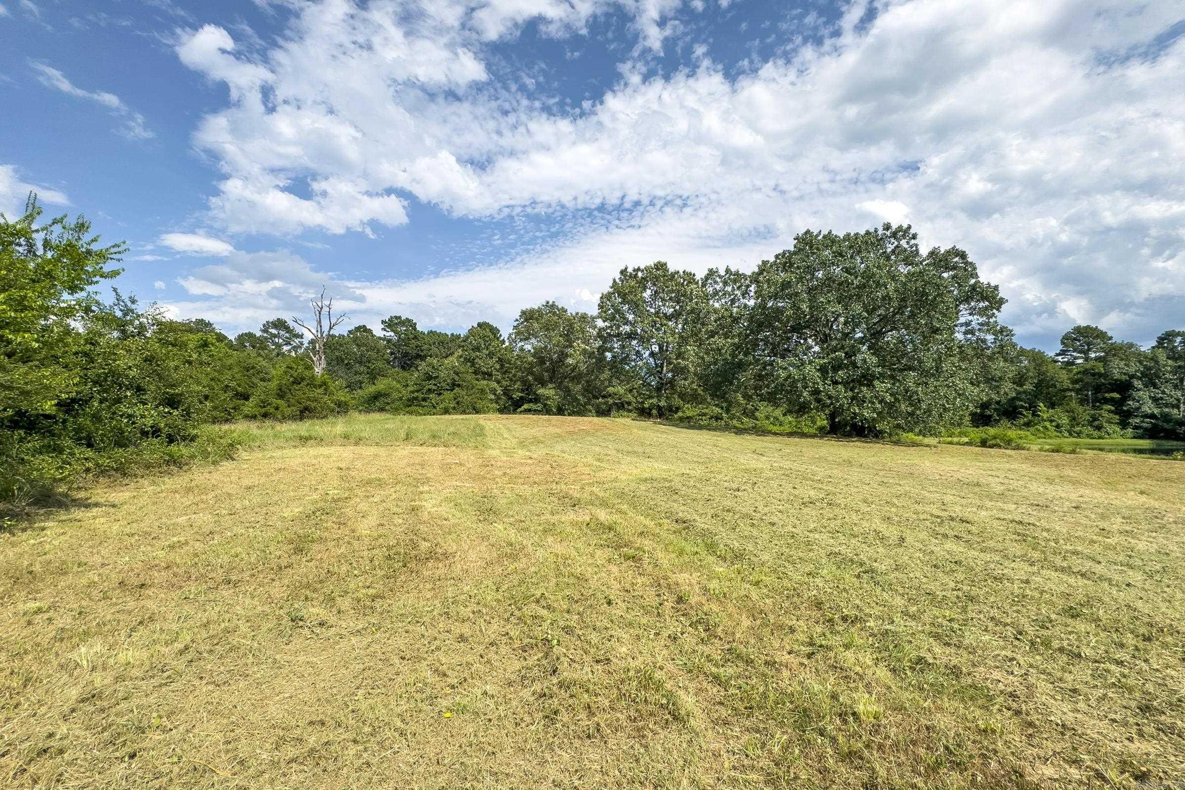 TBD  Byrd Vaught  Mena, AR