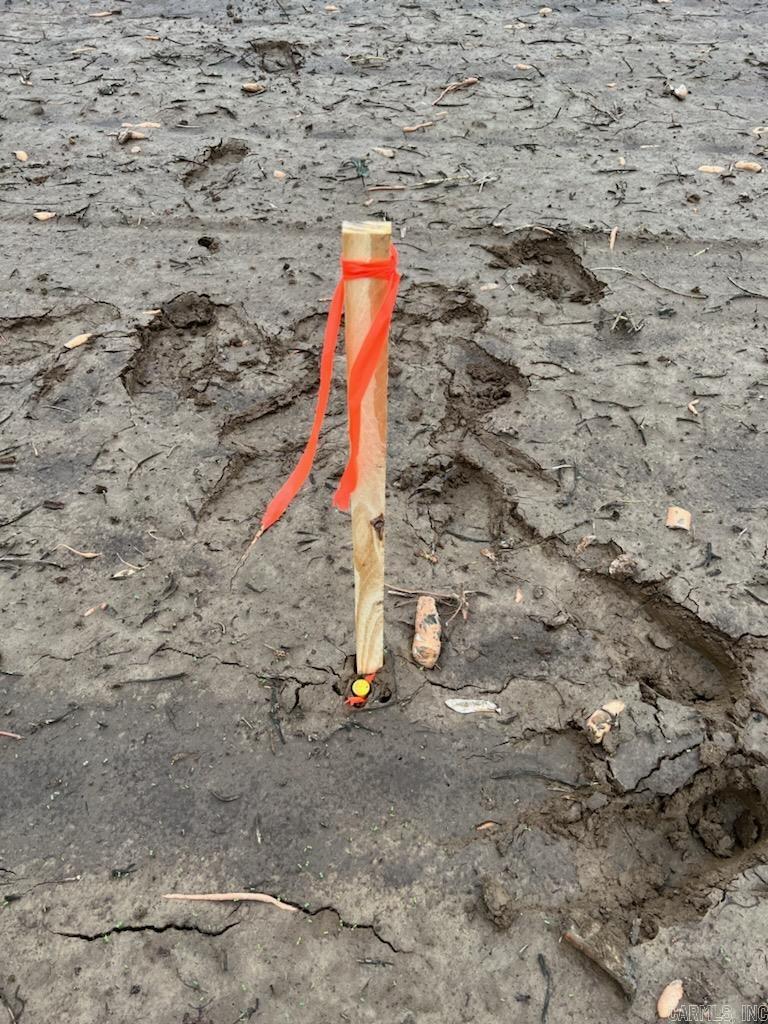   0  Wynne, AR