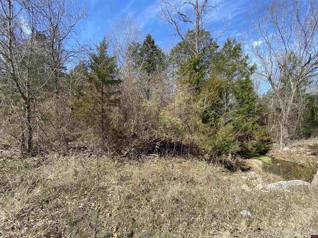 0001  Wirth Road  Hardy, AR