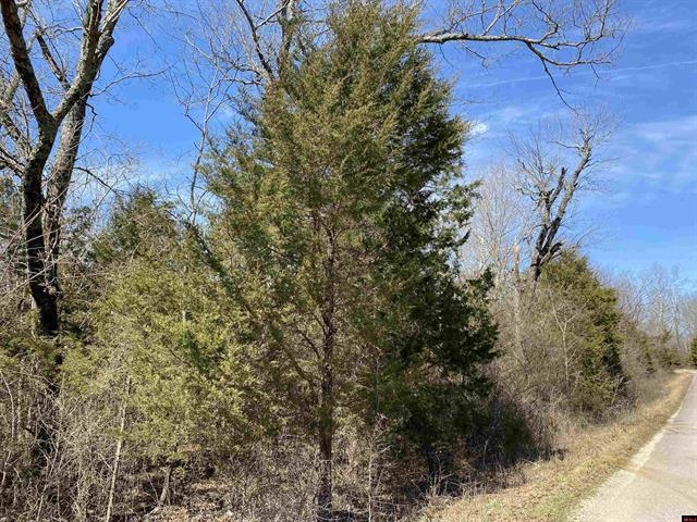 0001 Wirth Road  Hardy, AR