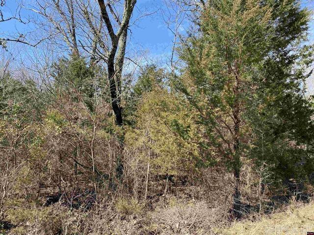 0001  Wirth Road  Hardy, AR