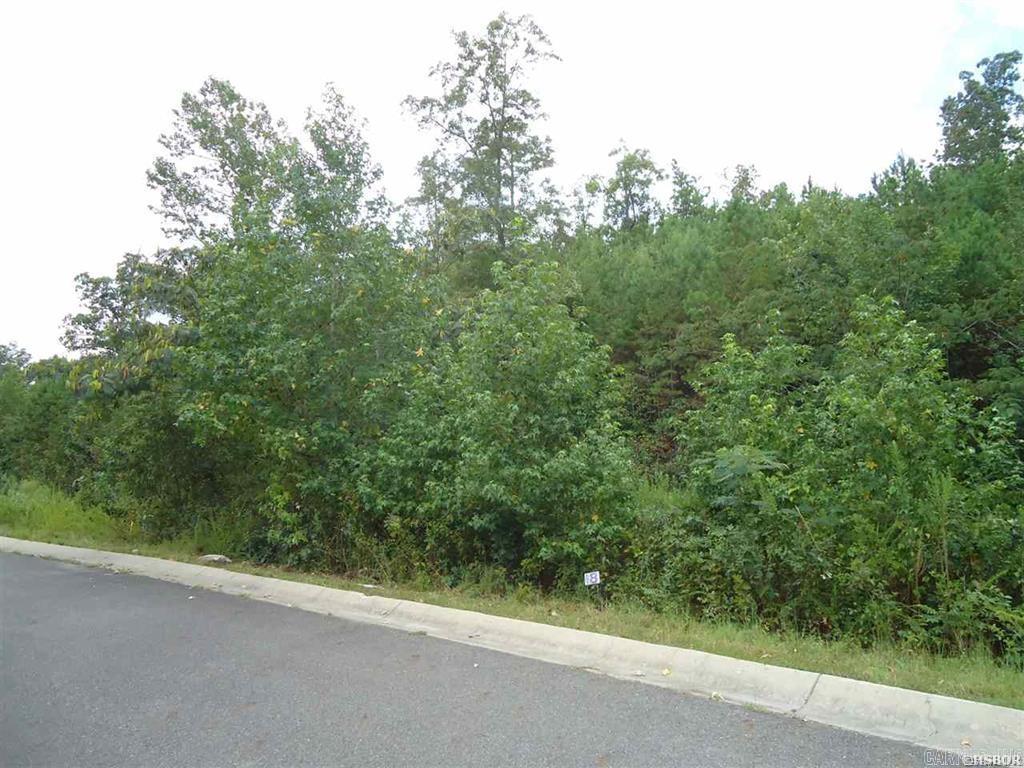 Lot 8  Oakcreek  Hot Springs, AR