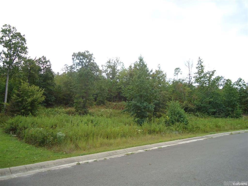 Lot 10  Oakcreek  Hot Springs, AR