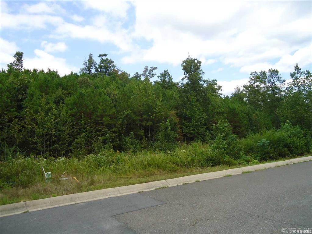 Lot 11  Oak Creek  Fountain Lake, AR