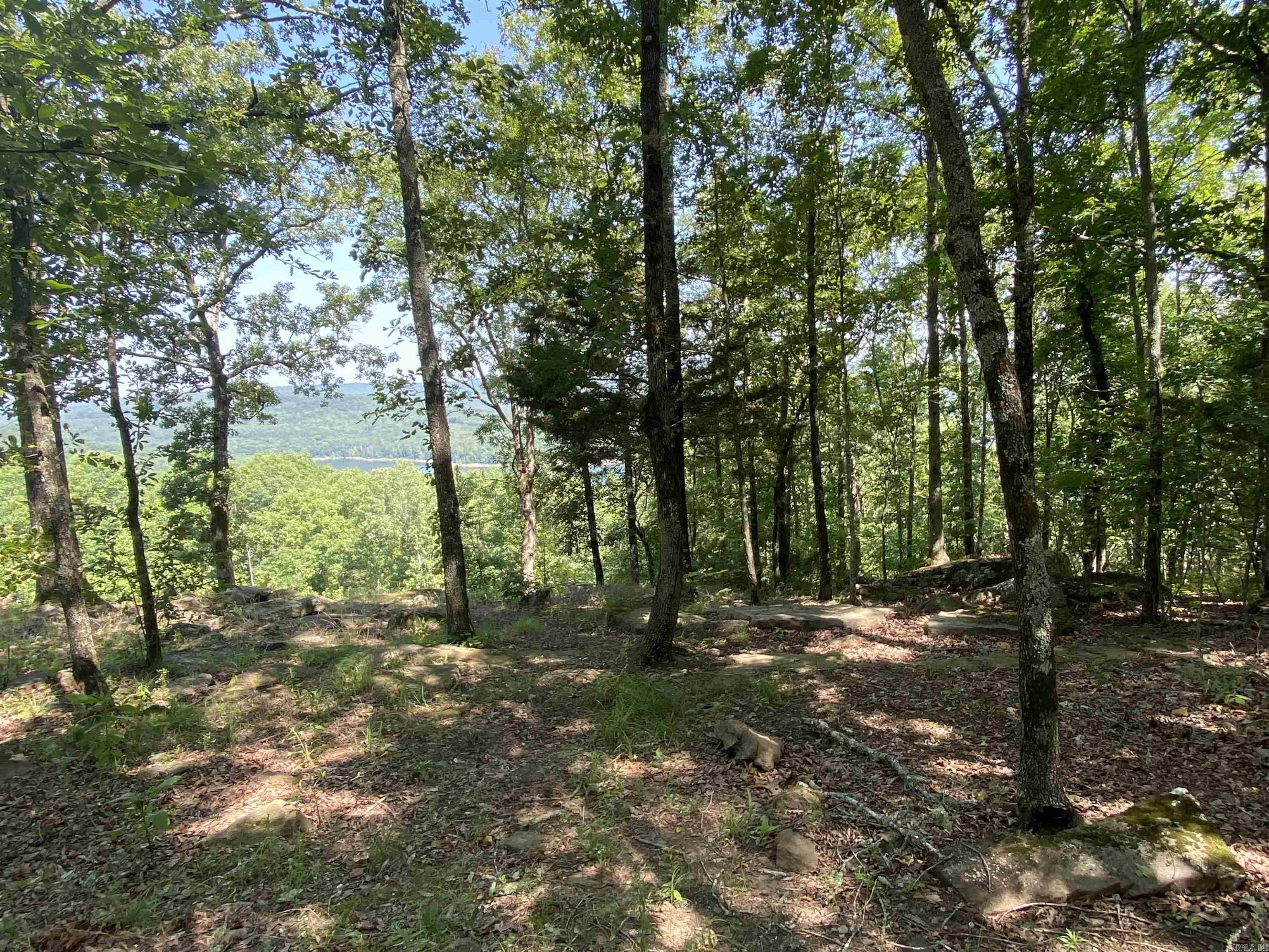 Lots 7, 8, & 9  Brown  Greers Ferry, AR