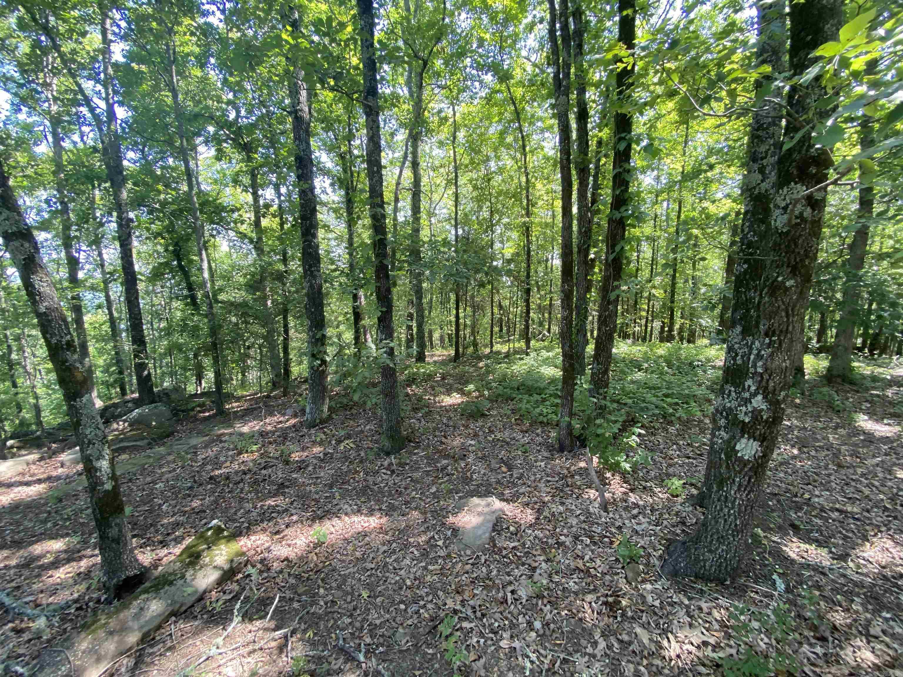 Lots 7, 8, & 9  Brown  Greers Ferry, AR