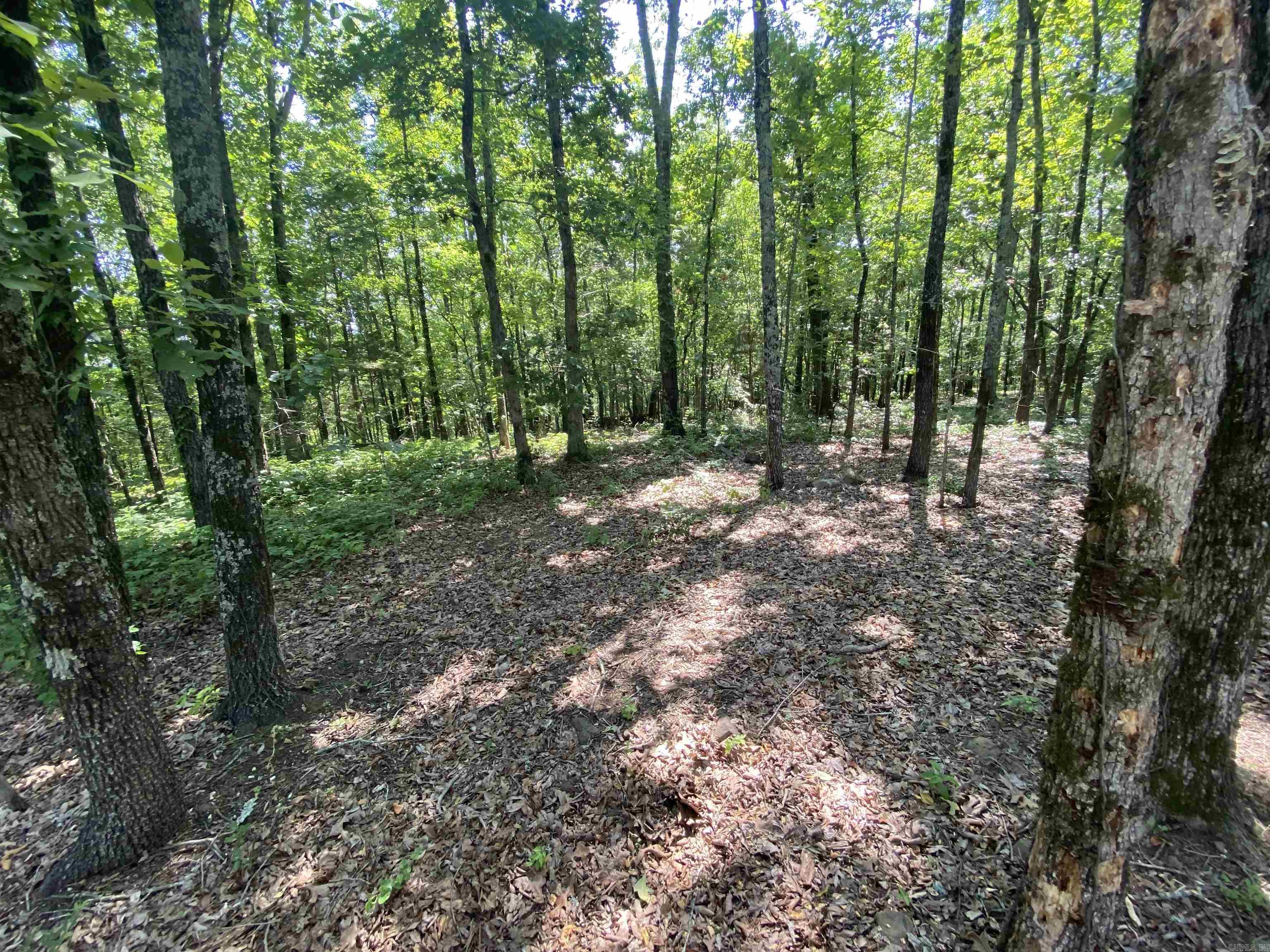 Lots 7, 8, & 9  Brown  Greers Ferry, AR