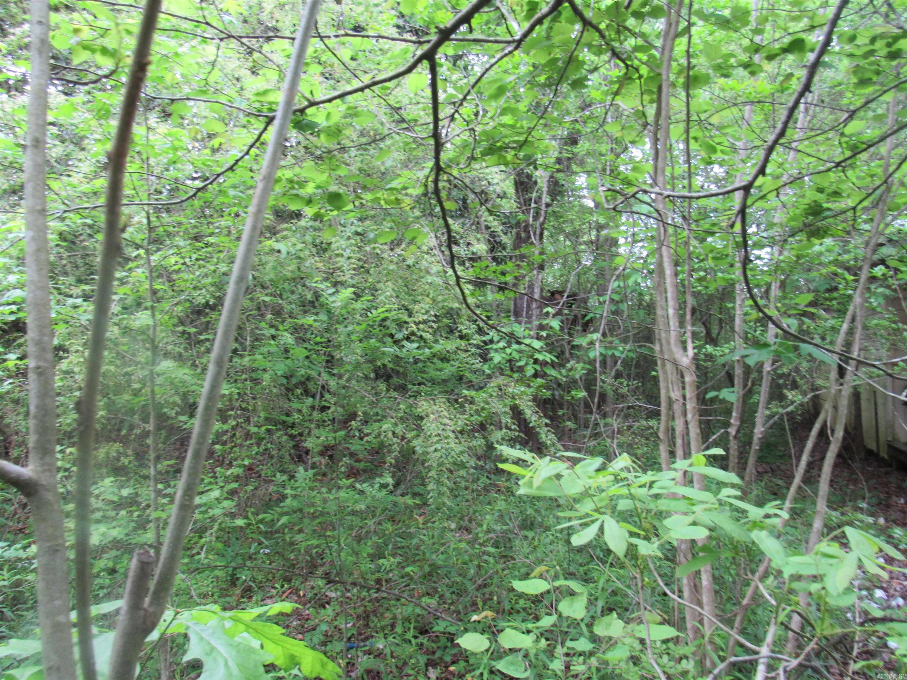 476  Delta Cir  Sheridan, AR