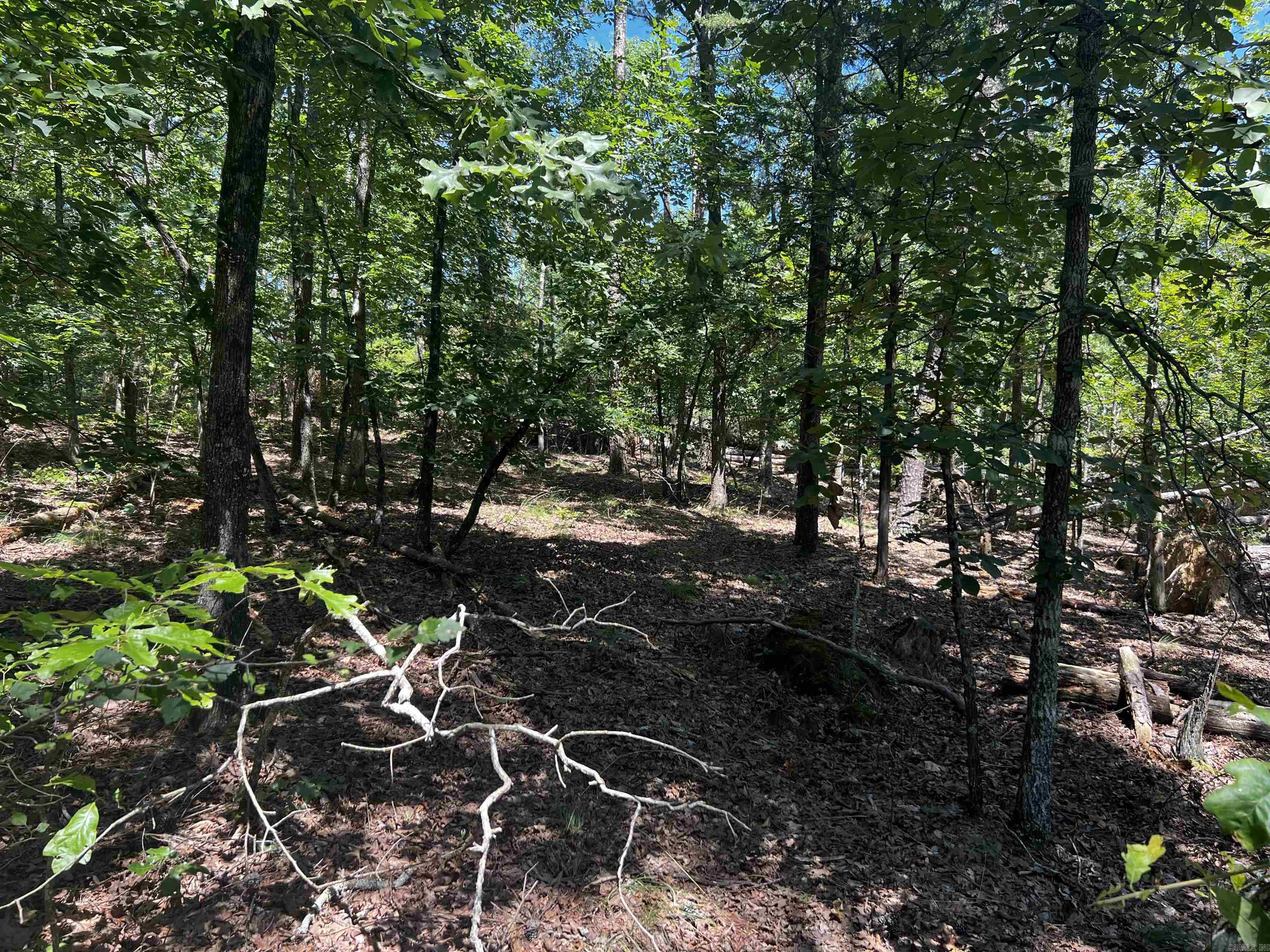 11  Mangana  Hot Springs Village, AR