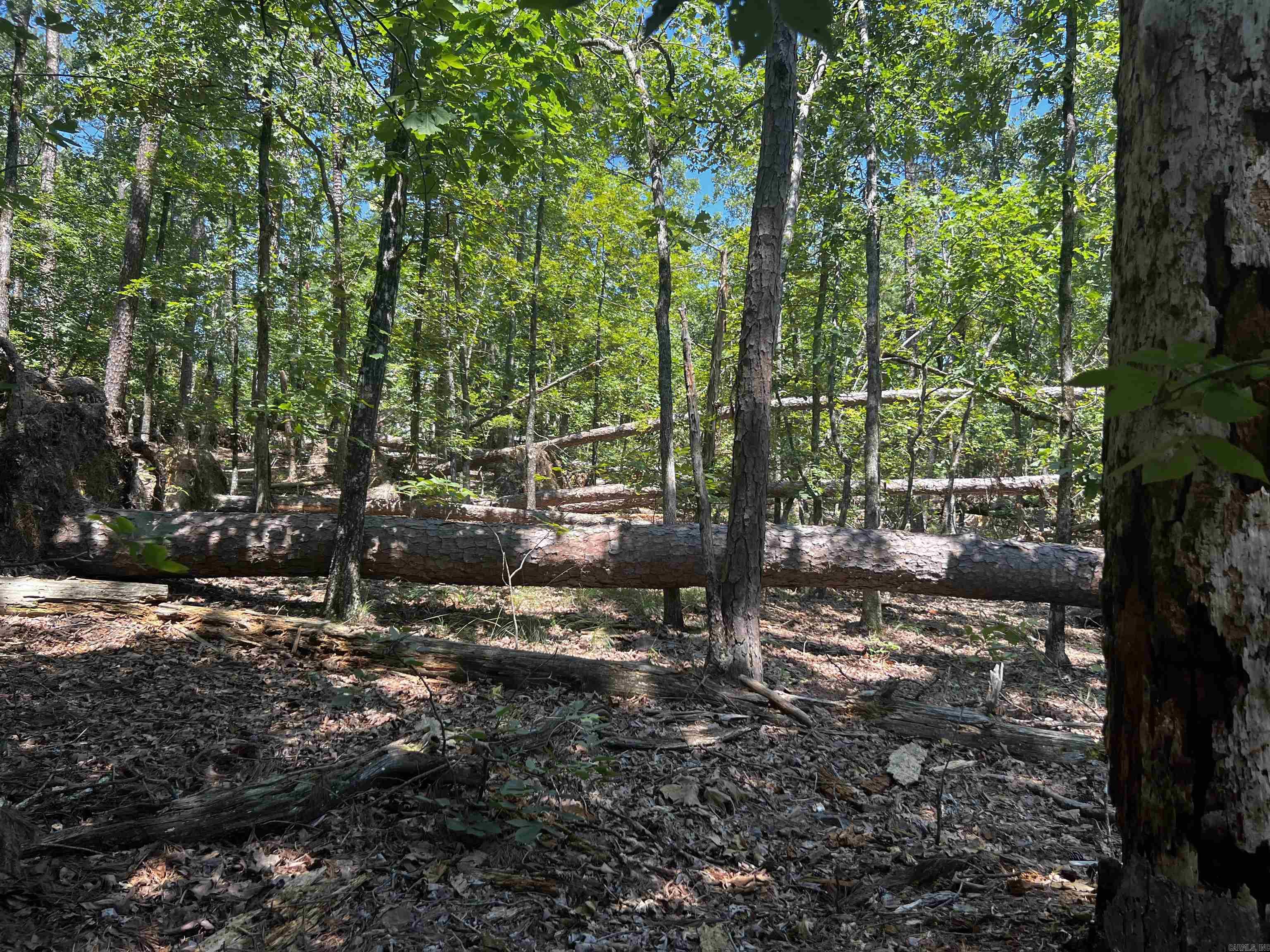 11  Mangana  Hot Springs Village, AR