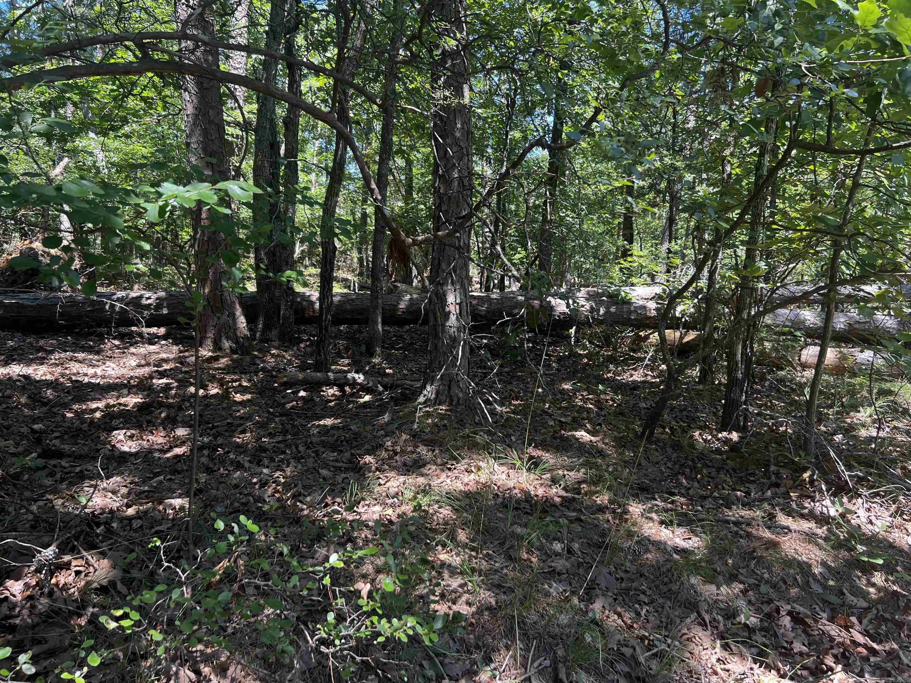 11  Mangana  Hot Springs Village, AR