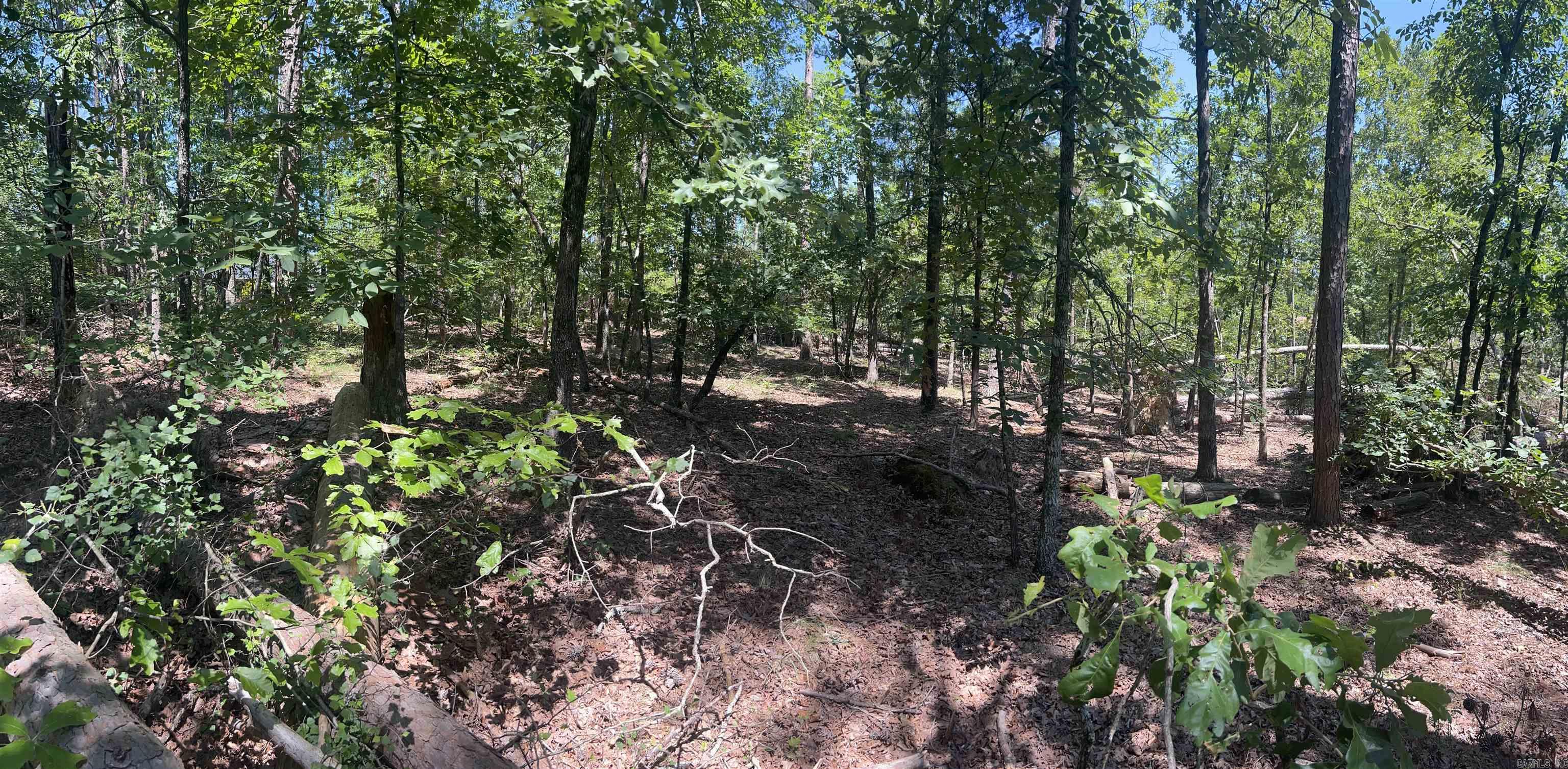 11  Mangana  Hot Springs Village, AR
