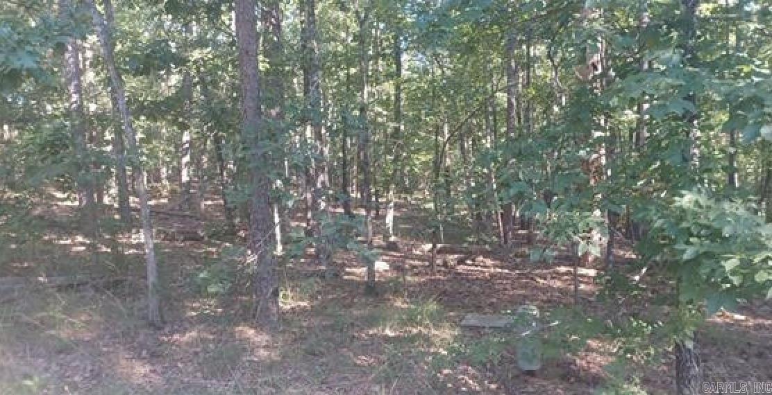 11  Mangana  Hot Springs Village, AR