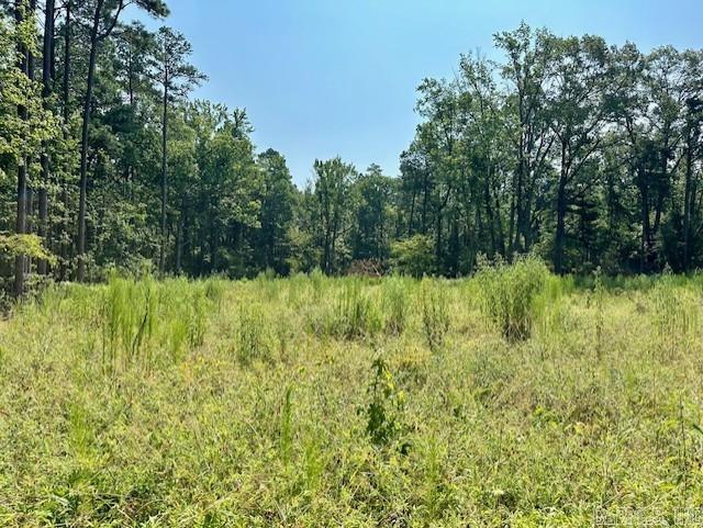 000  Hwy 104 Tract A  Pine Bluff, AR