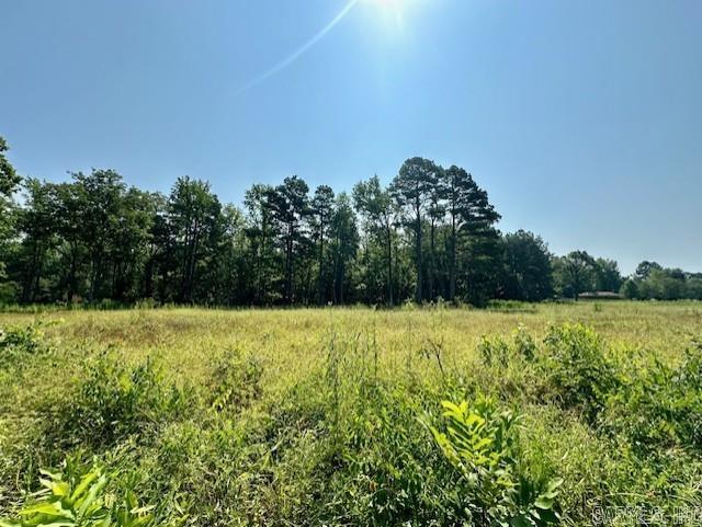 000  Hwy 104 Tract C  Pine Bluff, AR
