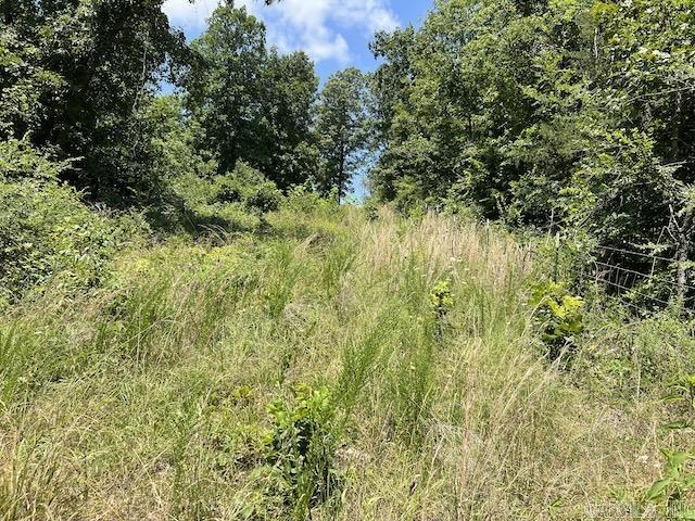 766  Rainbow Valley Trail  Mammoth Spring, AR