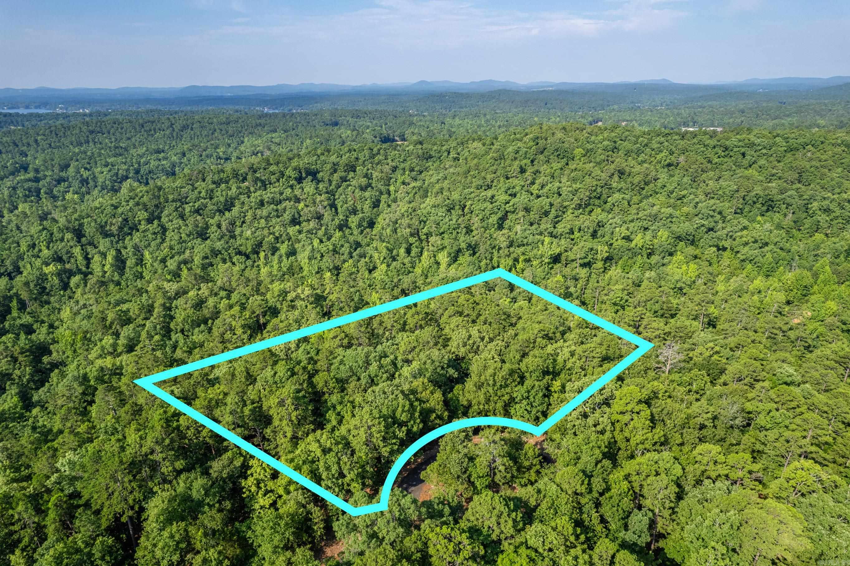 11  Pertusa  Hot Springs Village, AR