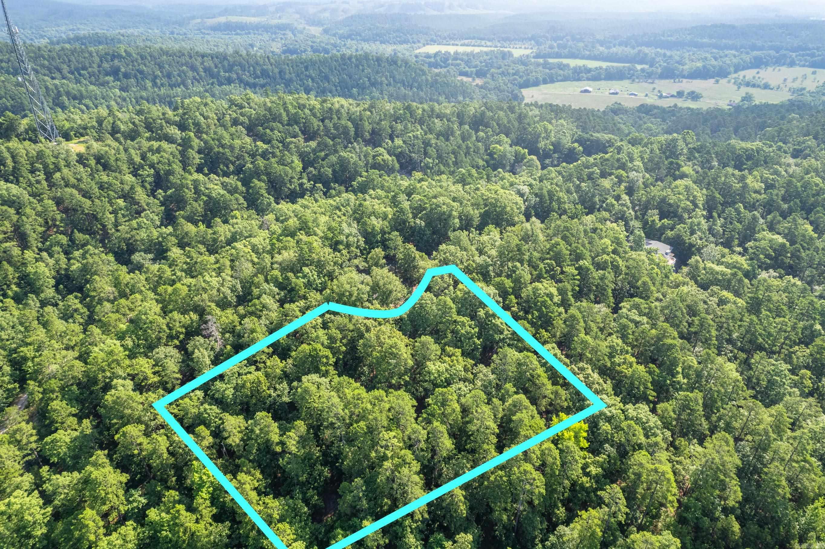 11  Pertusa  Hot Springs Village, AR
