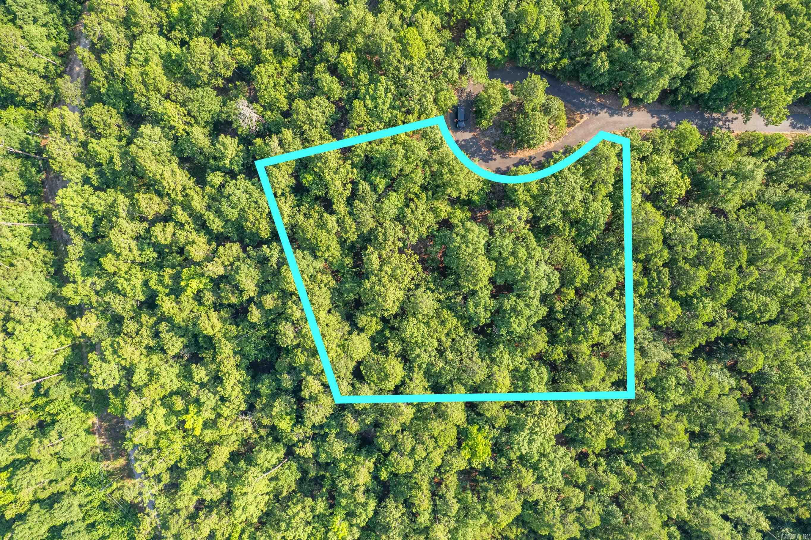 11  Pertusa  Hot Springs Village, AR