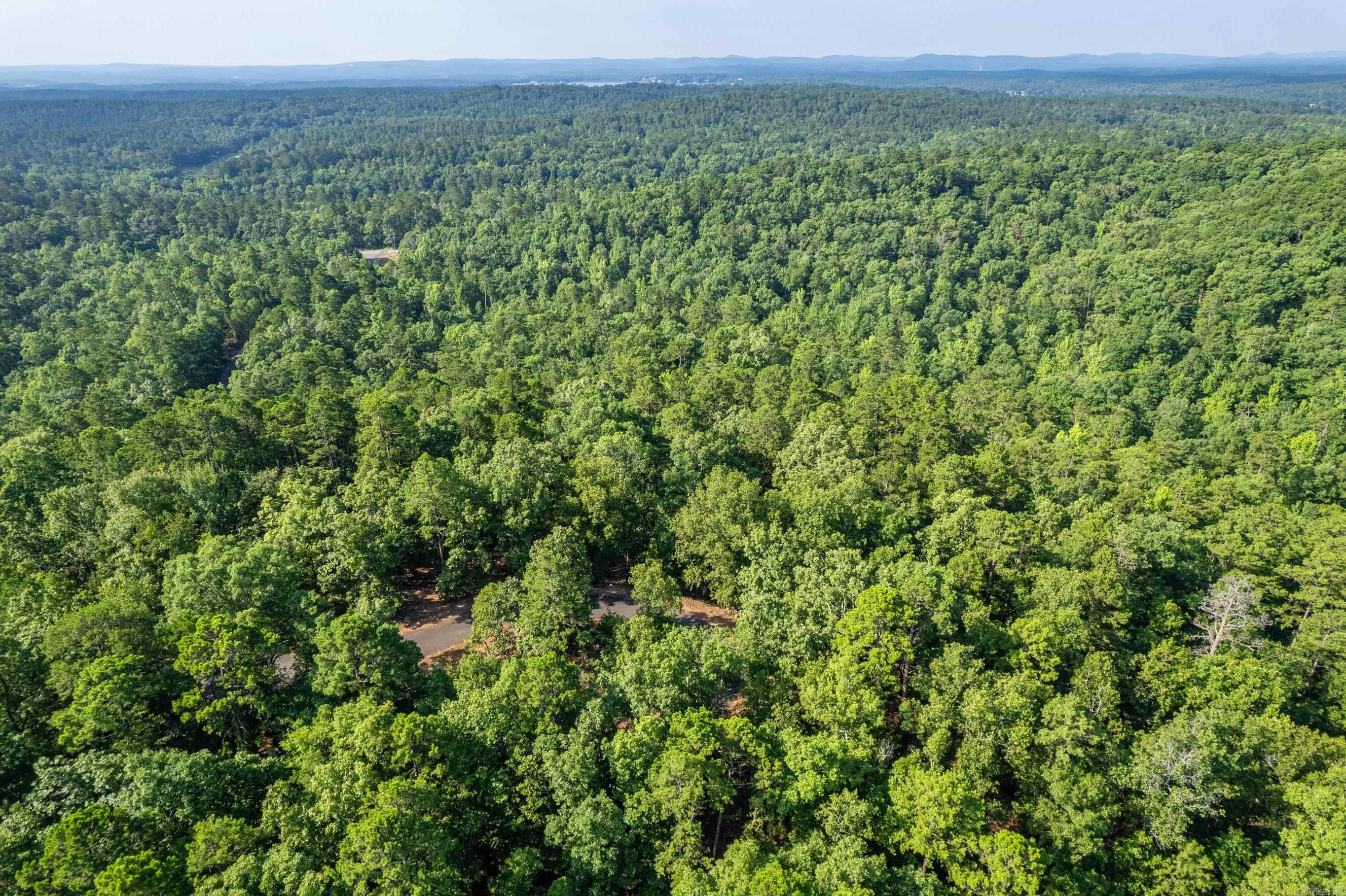 11  Pertusa  Hot Springs Village, AR