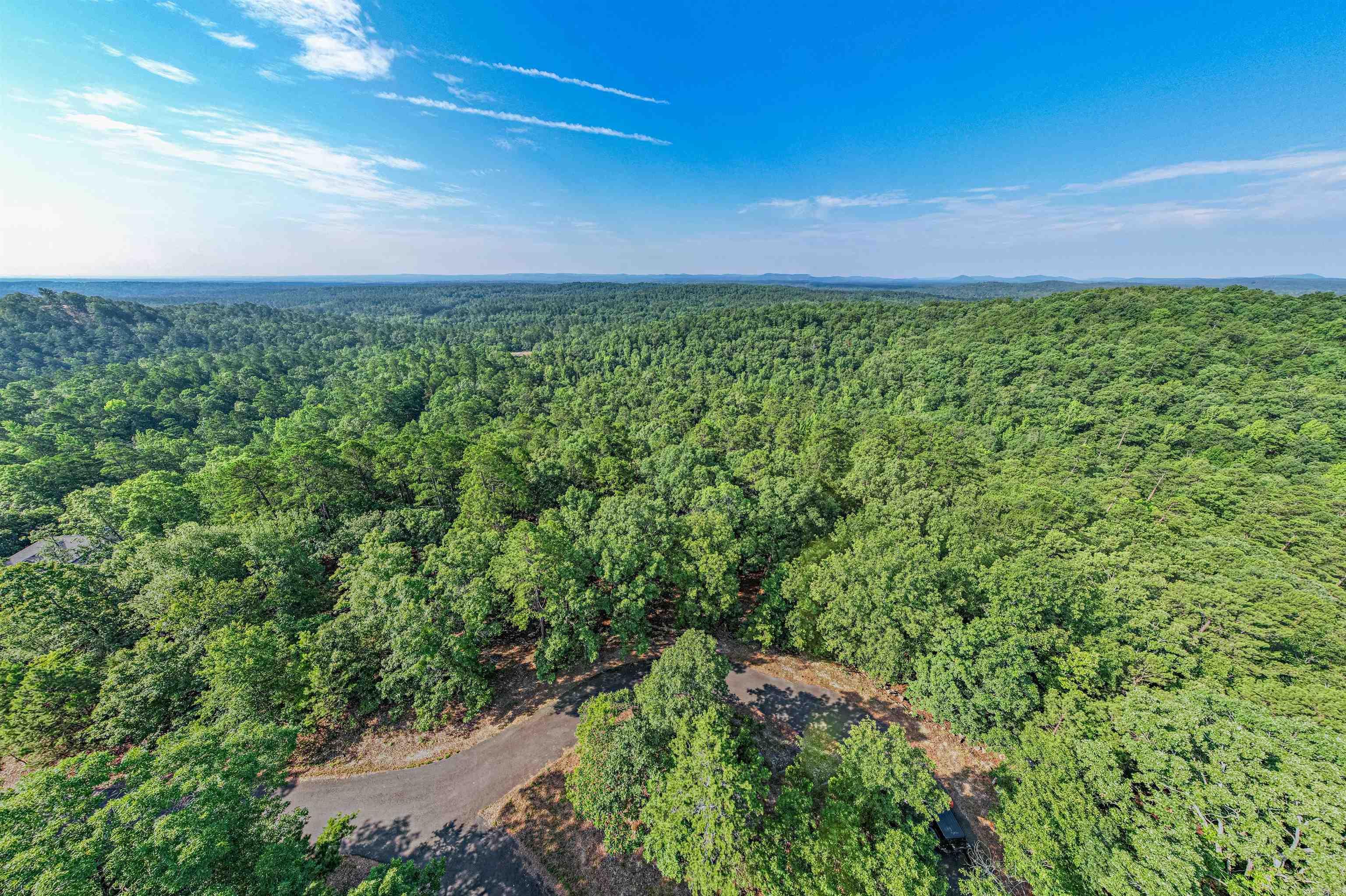 11  Pertusa  Hot Springs Village, AR