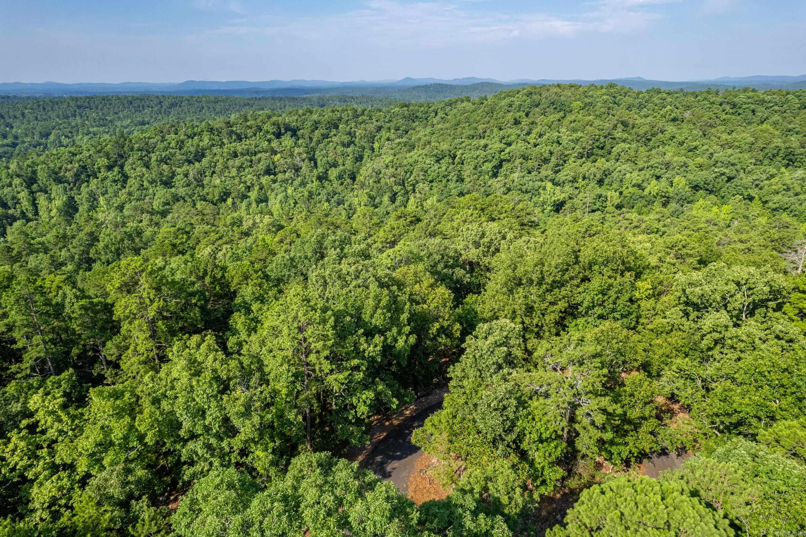 11  Pertusa  Hot Springs Village, AR