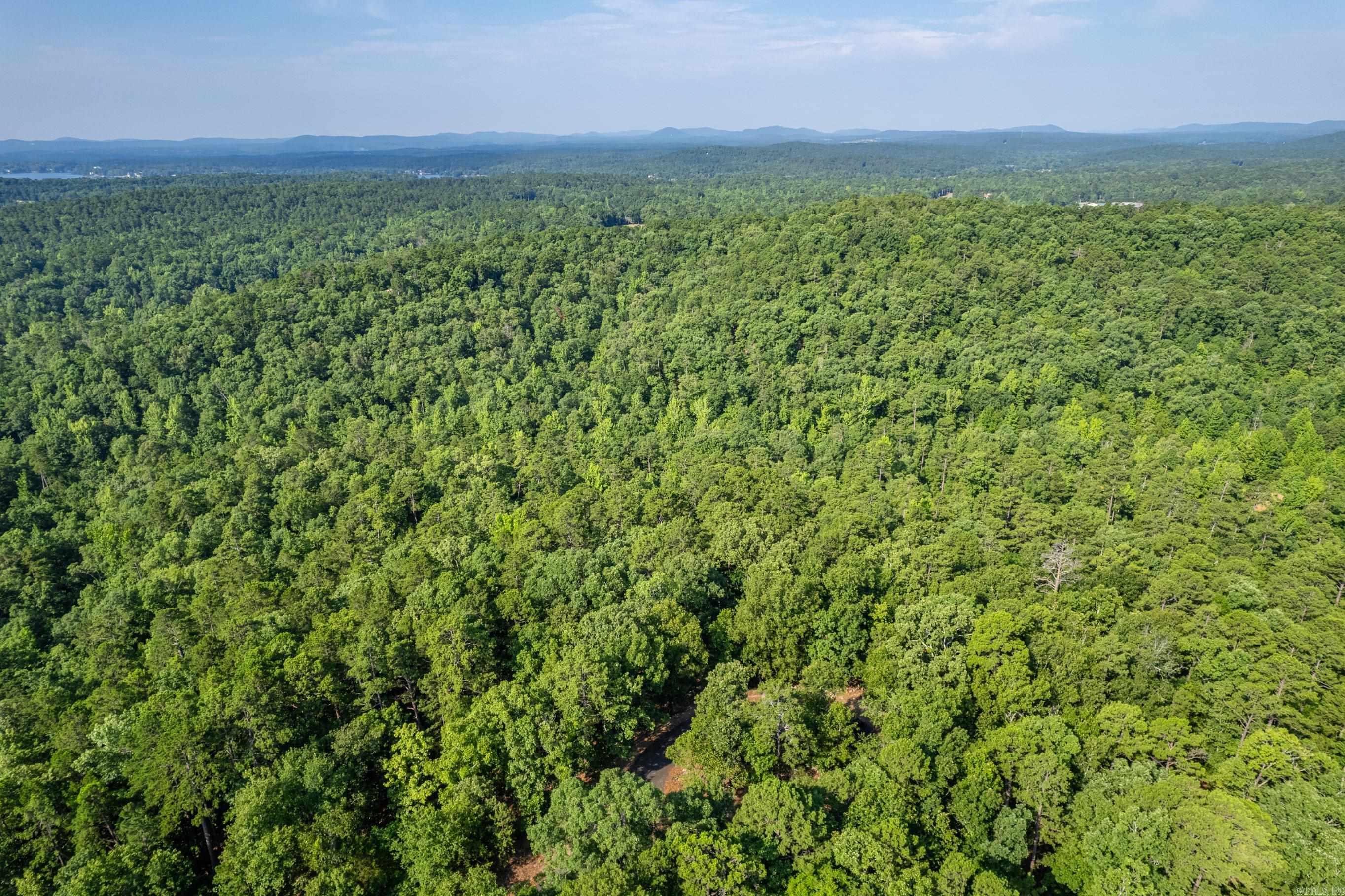 11  Pertusa  Hot Springs Village, AR
