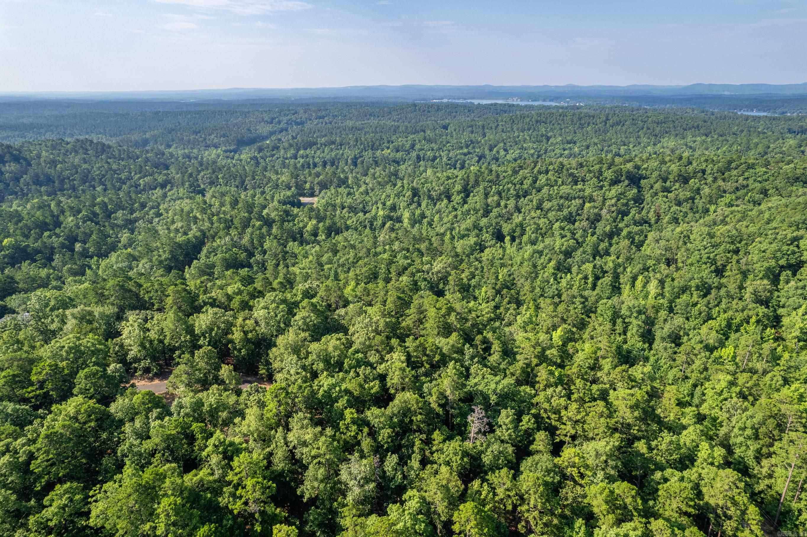11  Pertusa  Hot Springs Village, AR