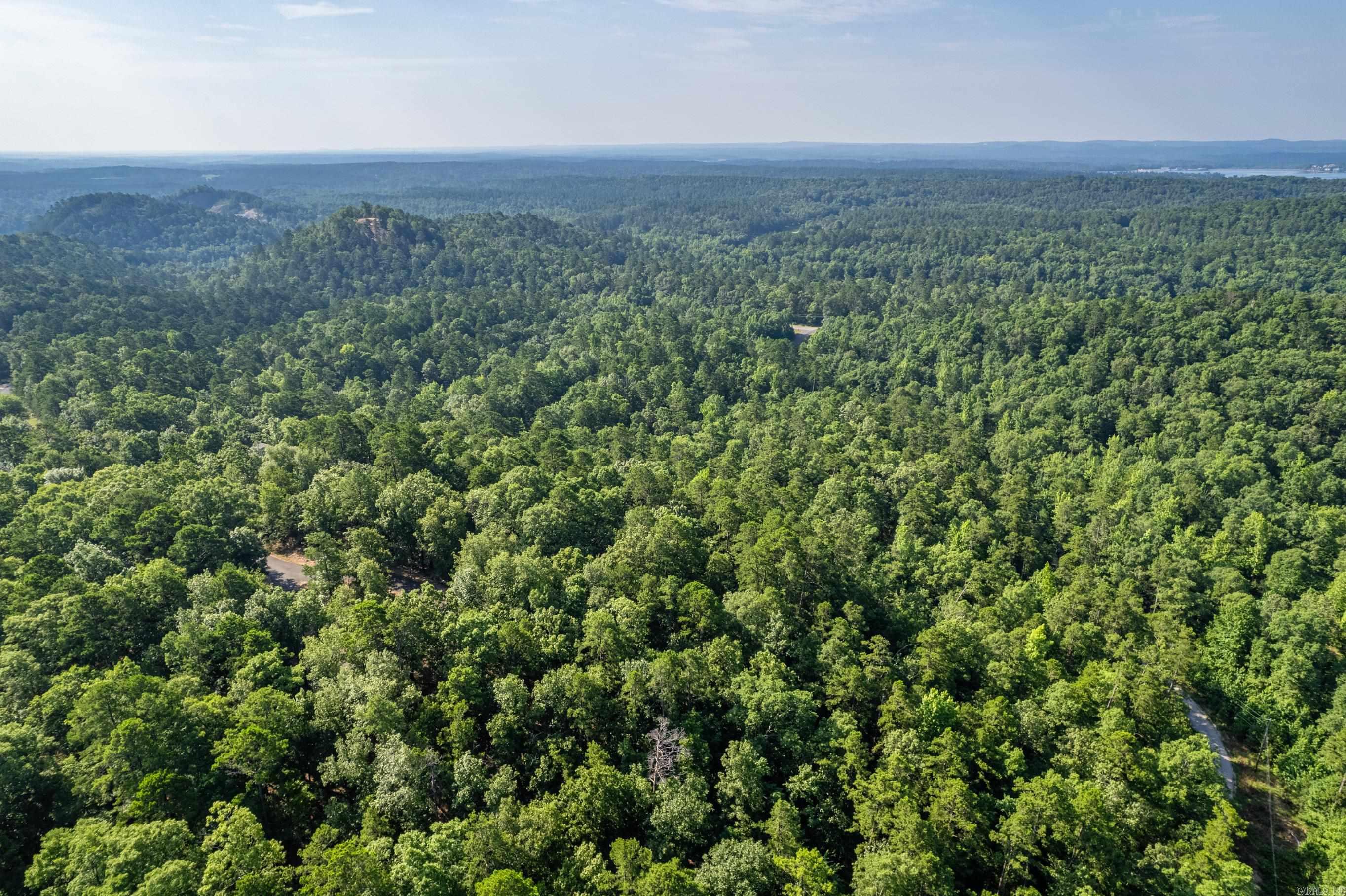 11  Pertusa  Hot Springs Village, AR
