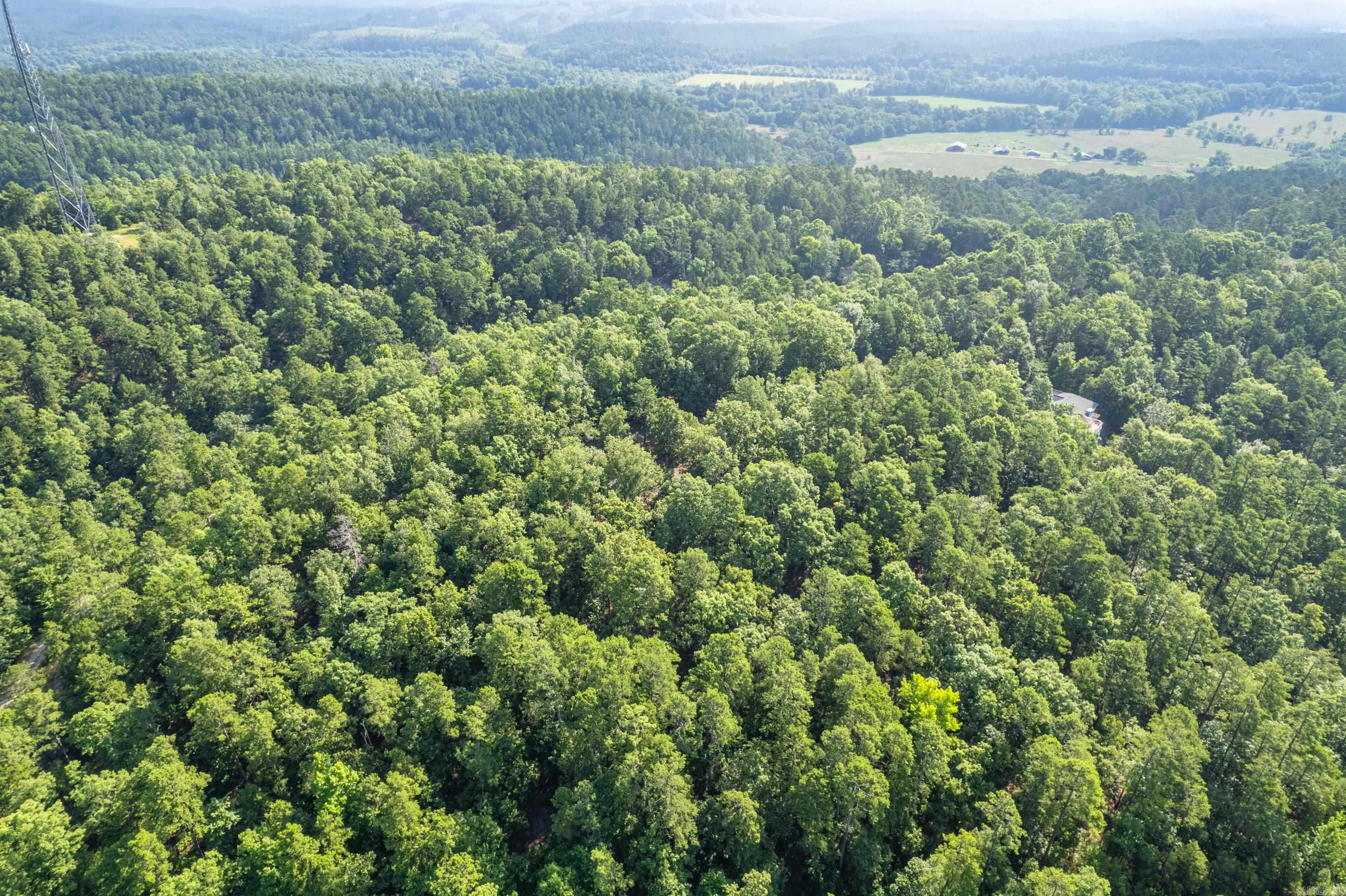 11  Pertusa  Hot Springs Village, AR