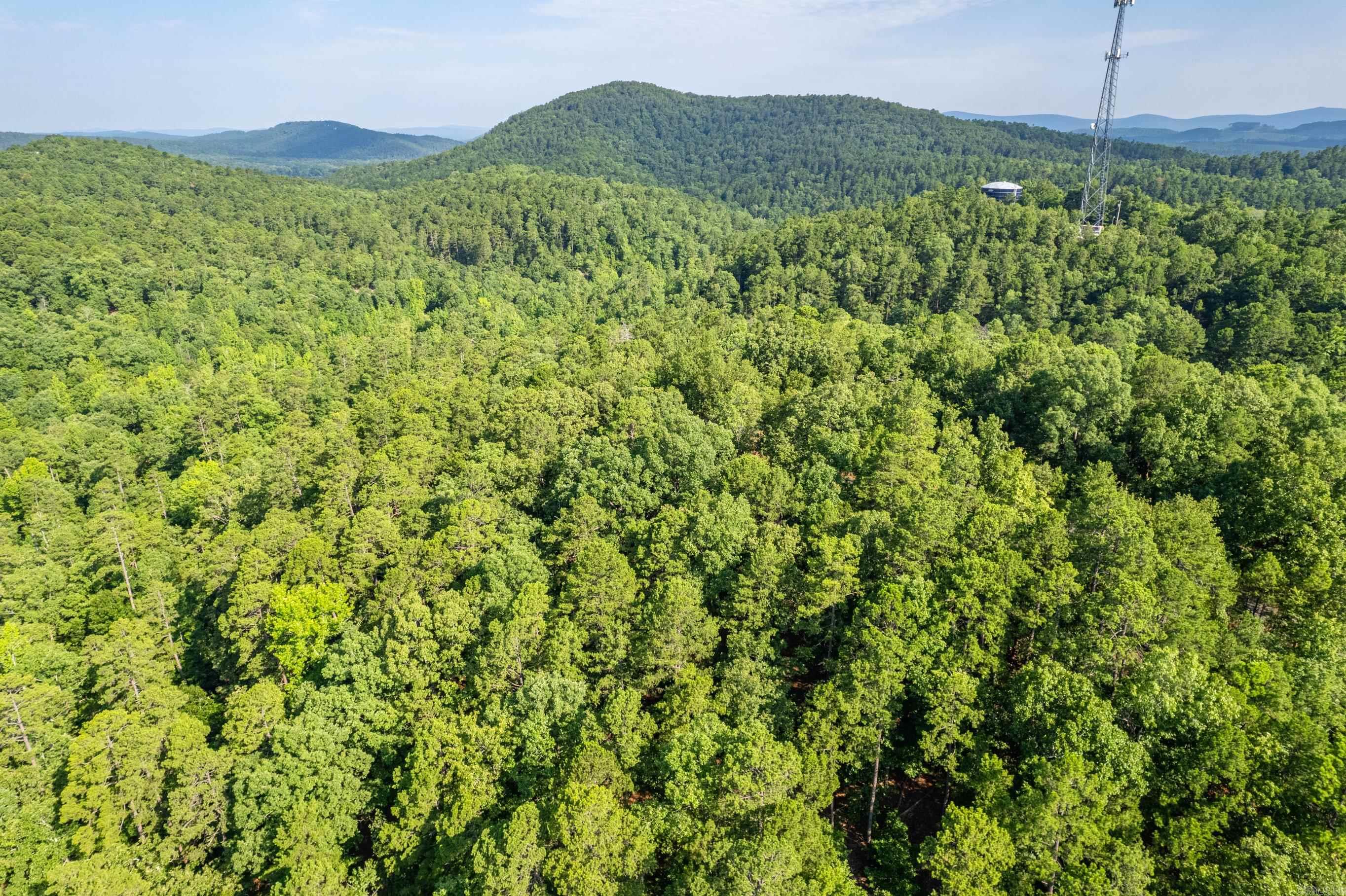 11  Pertusa  Hot Springs Village, AR