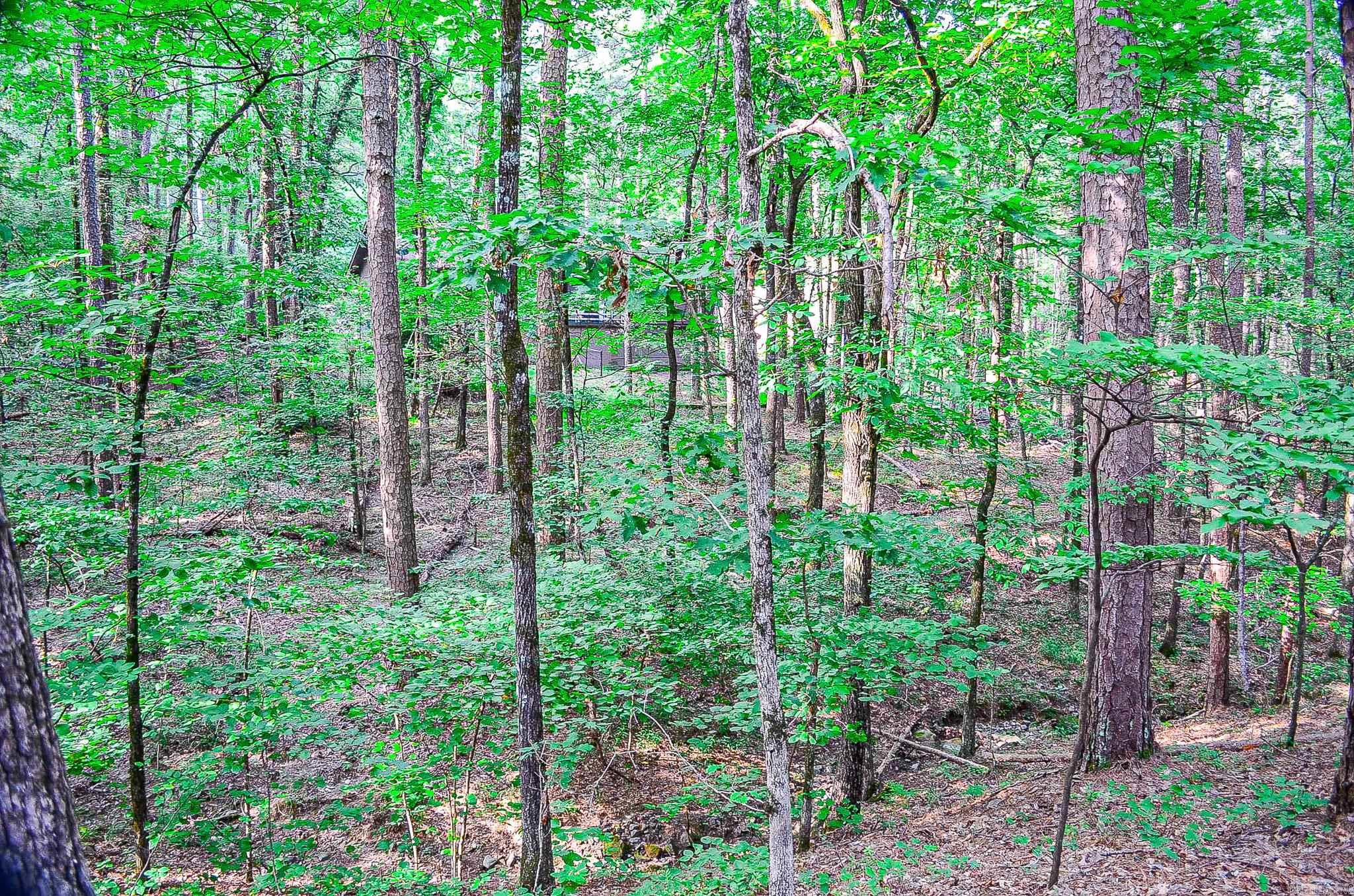 29  Salobrena Way  Hot Springs Village, AR