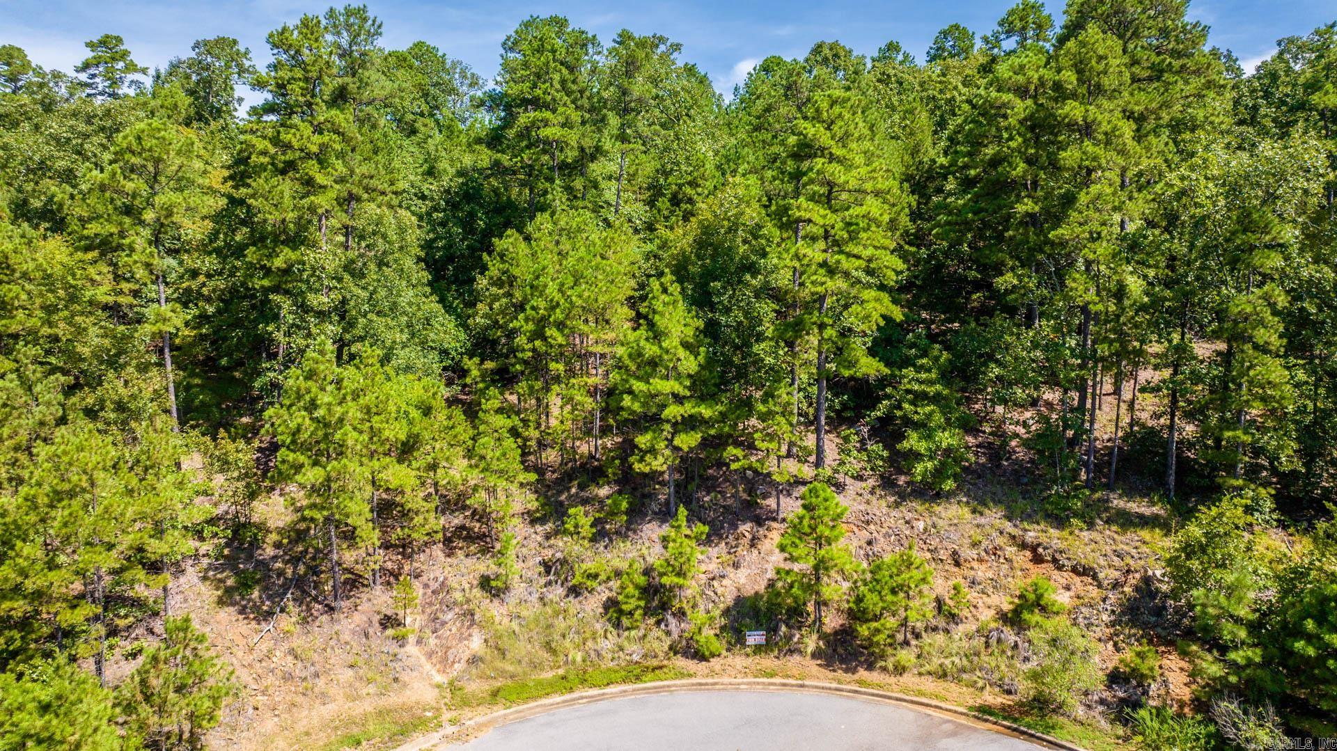 16100 & 16104  Vista Del Rio  Maumelle, AR
