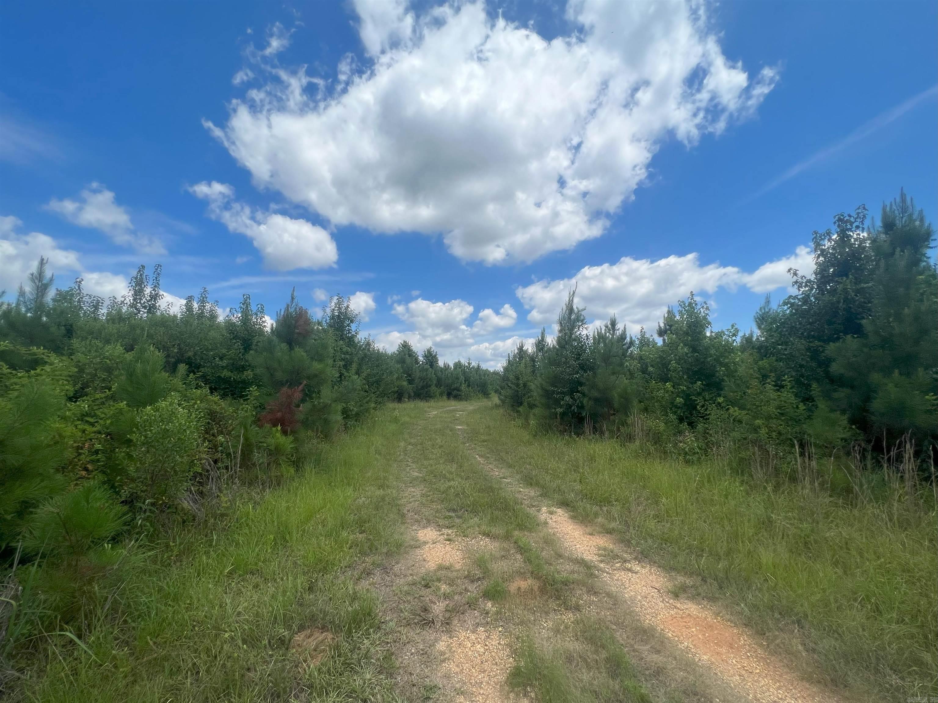 000  US Highway 278  Warren, AR