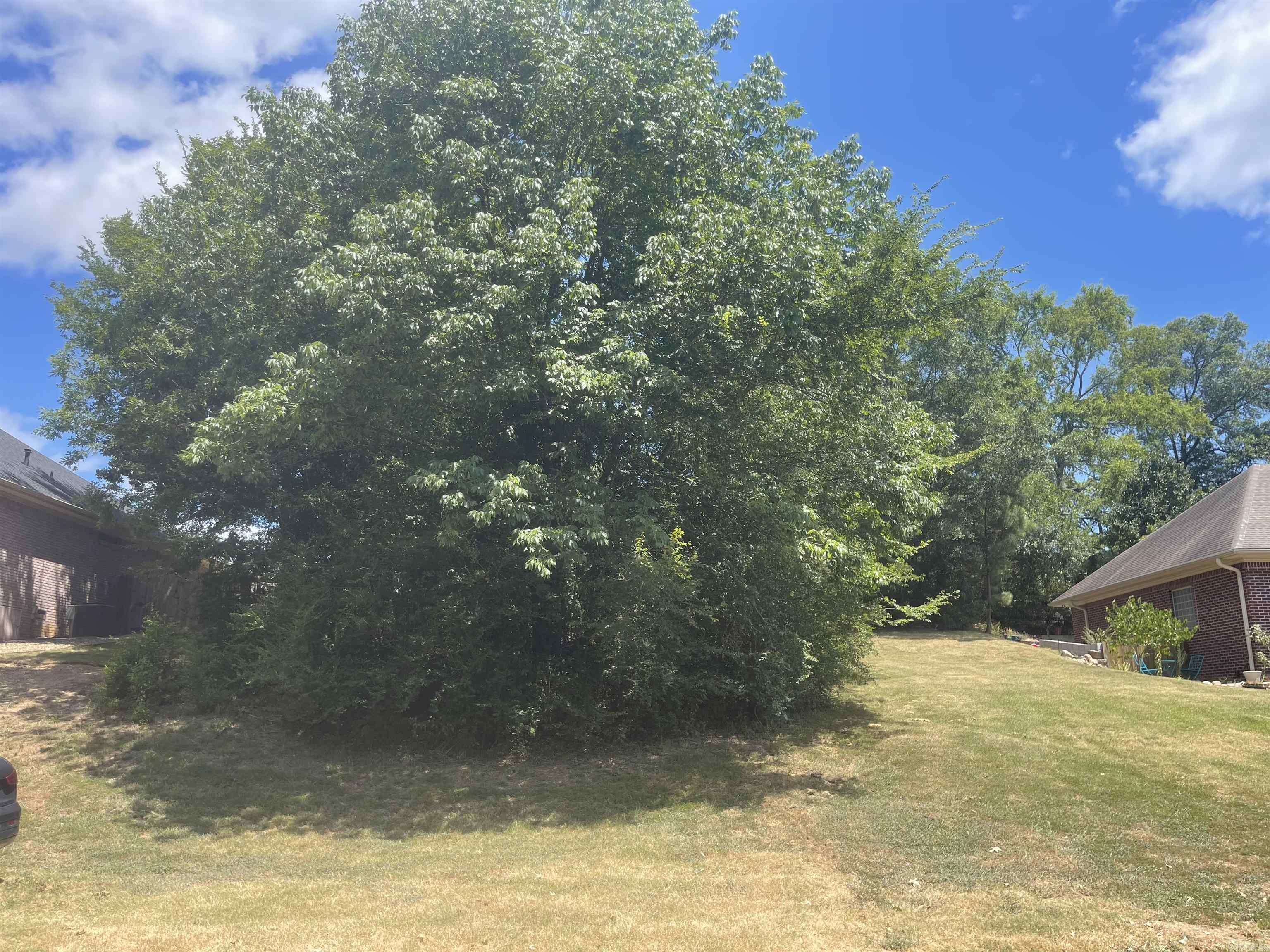 114  St Charles  Hot Springs, AR